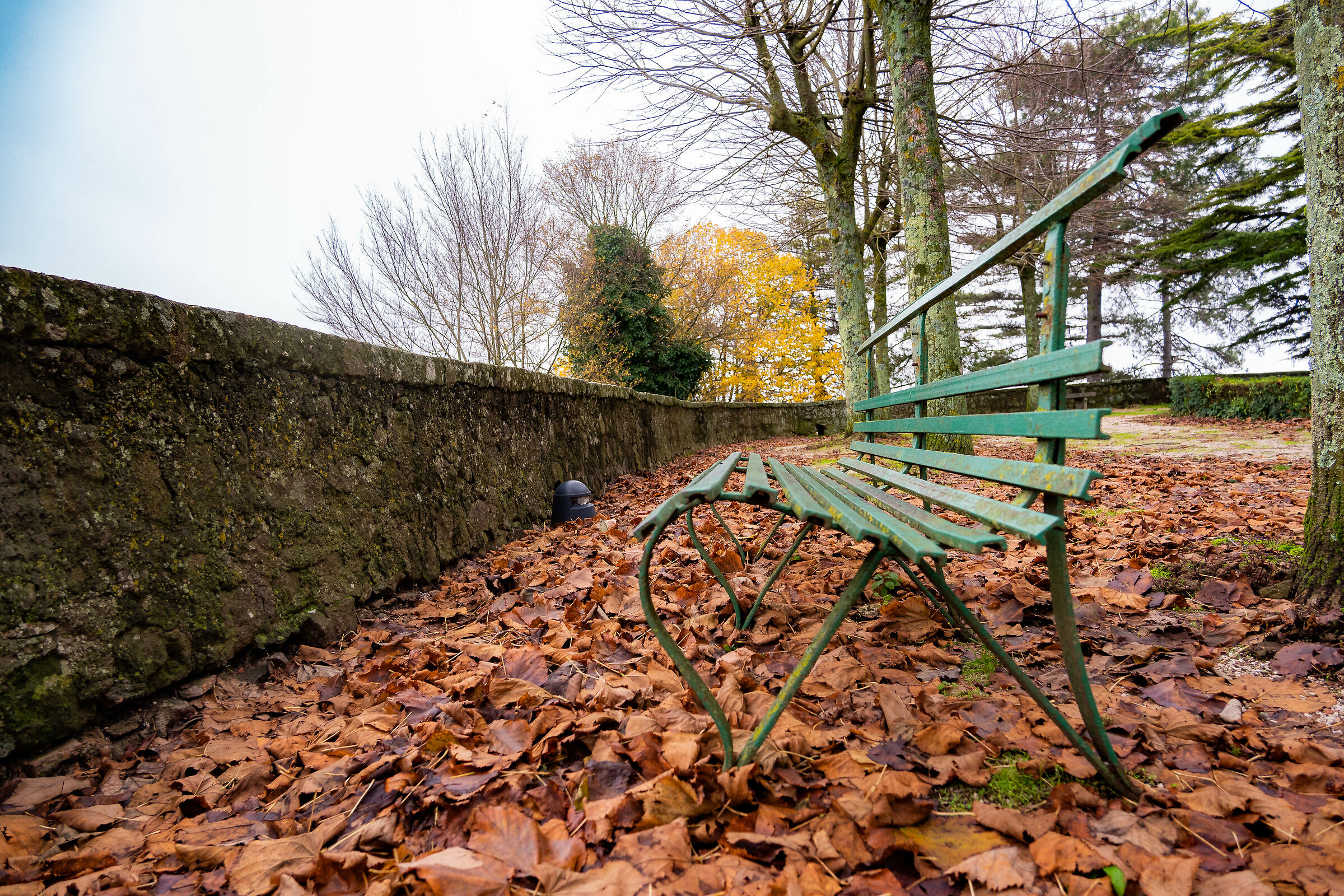 Solitudine autunnale