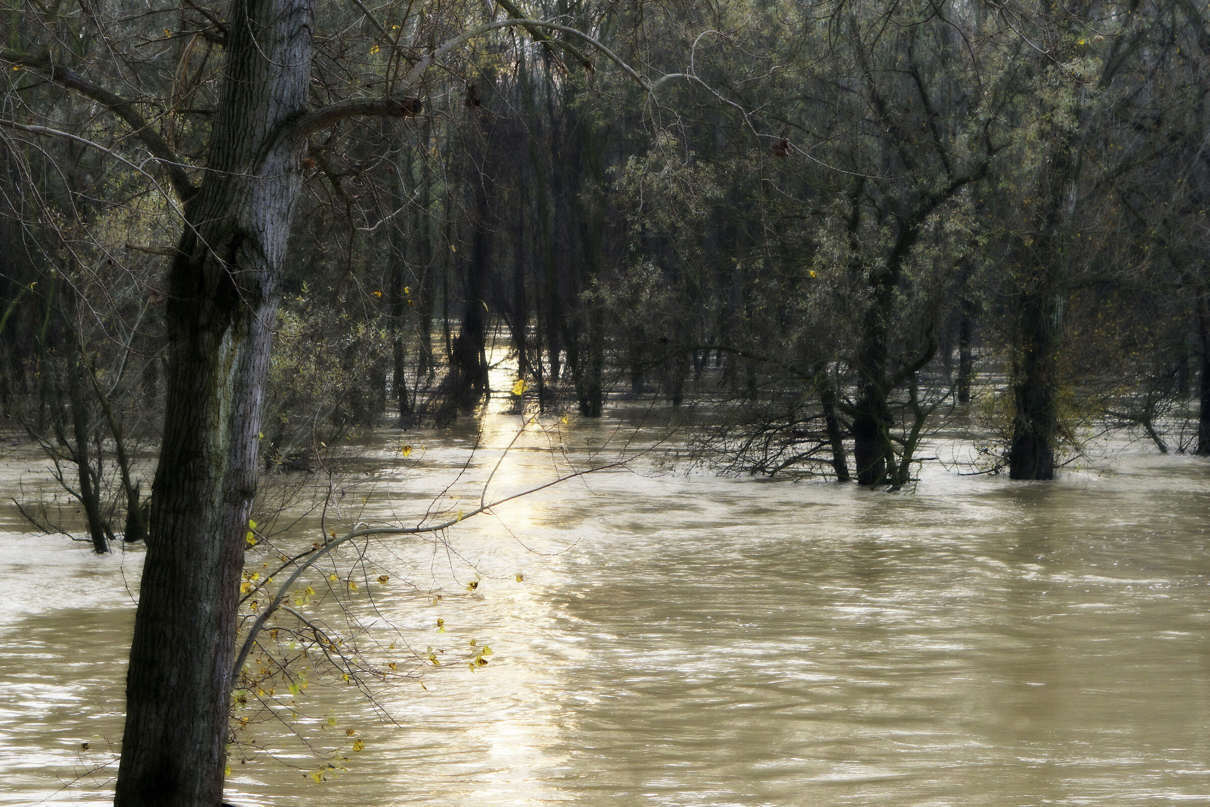 When the Po is still scary (Nov.2019)