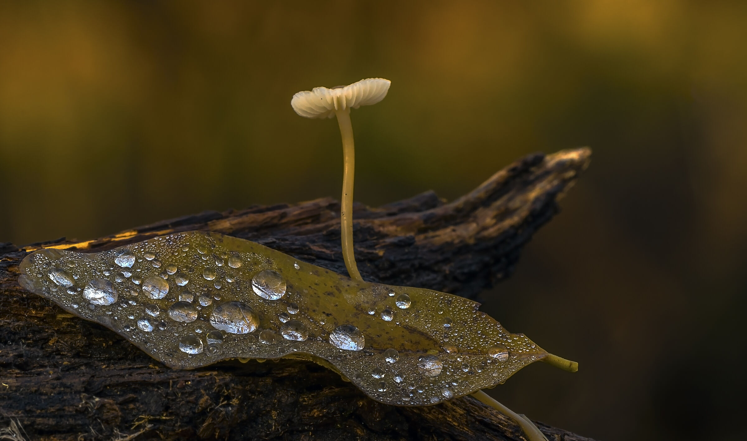 At the end of November