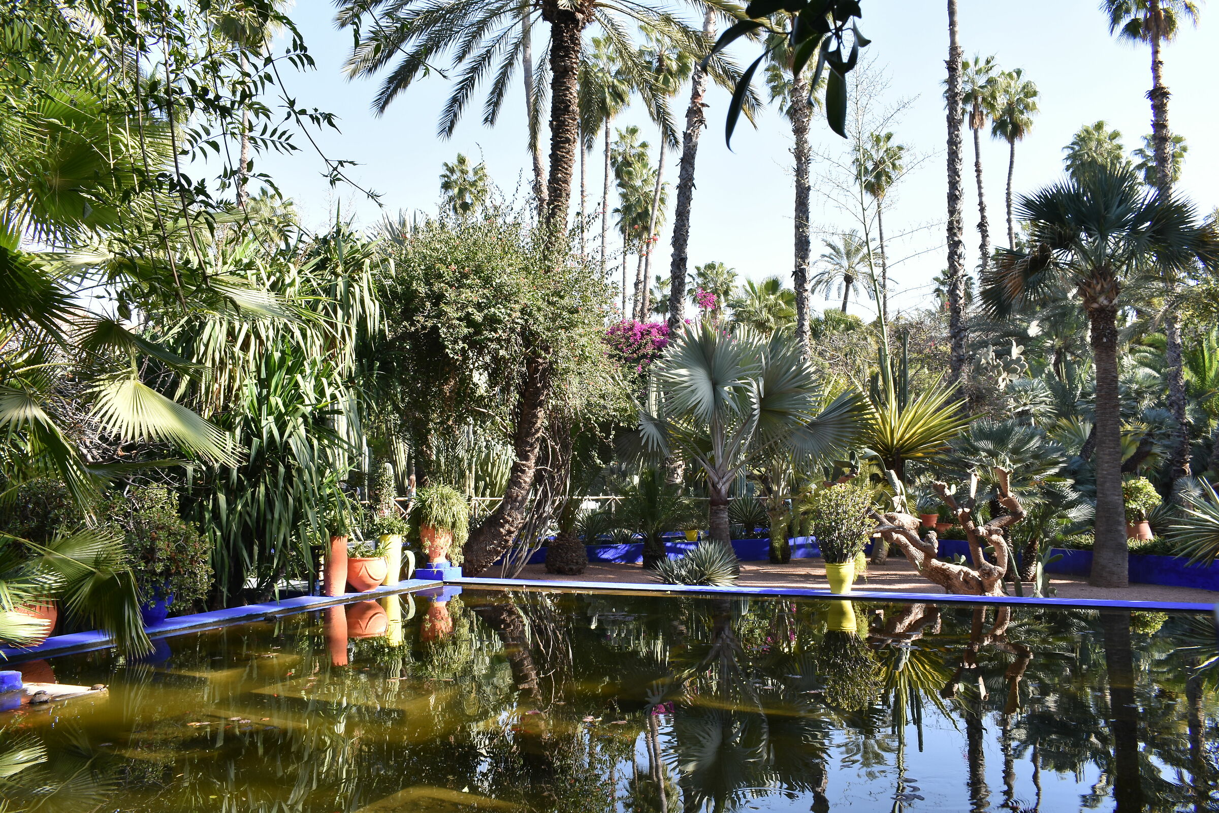 Jardin Le Majorelle