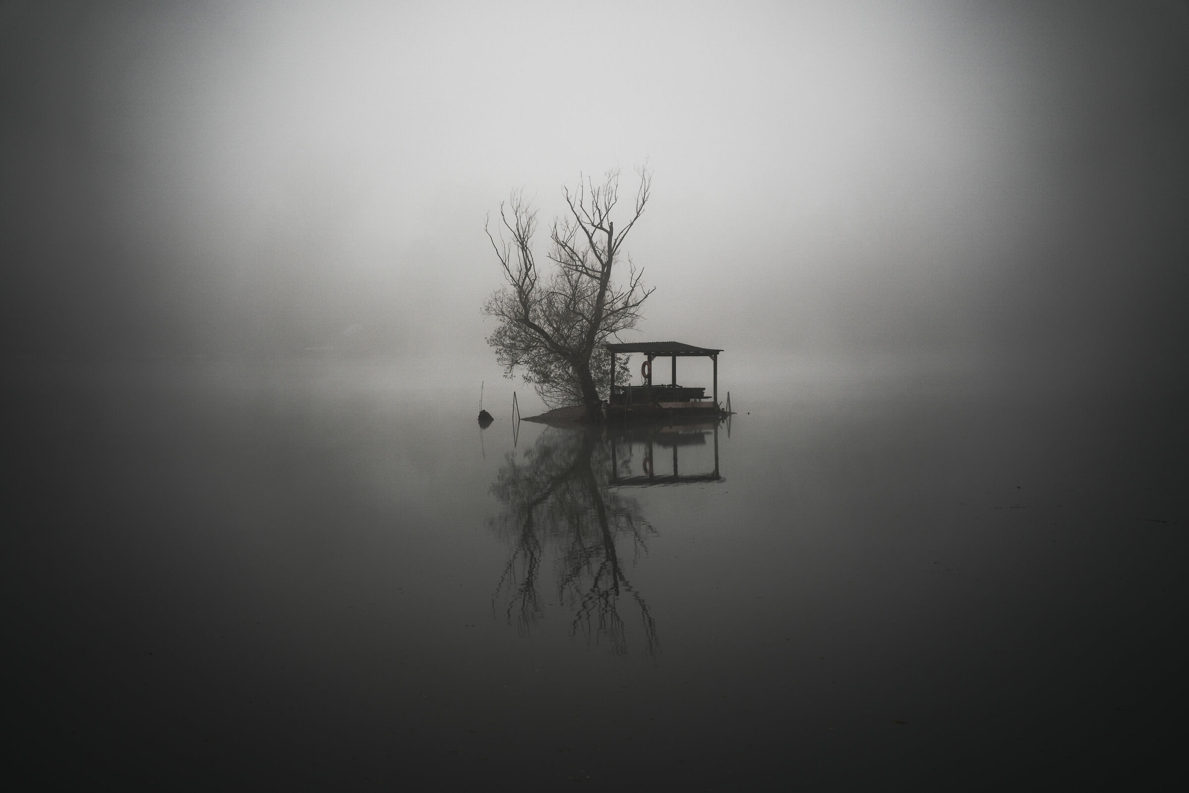 embrace melancholy