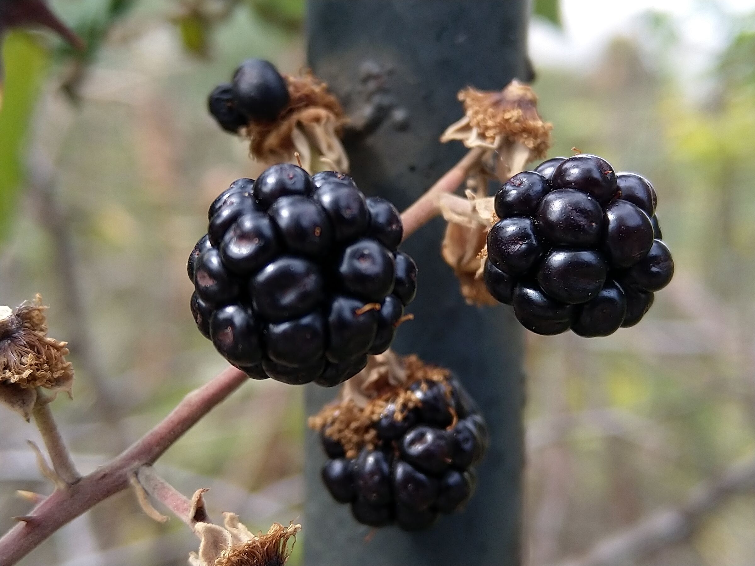 More of the end of August