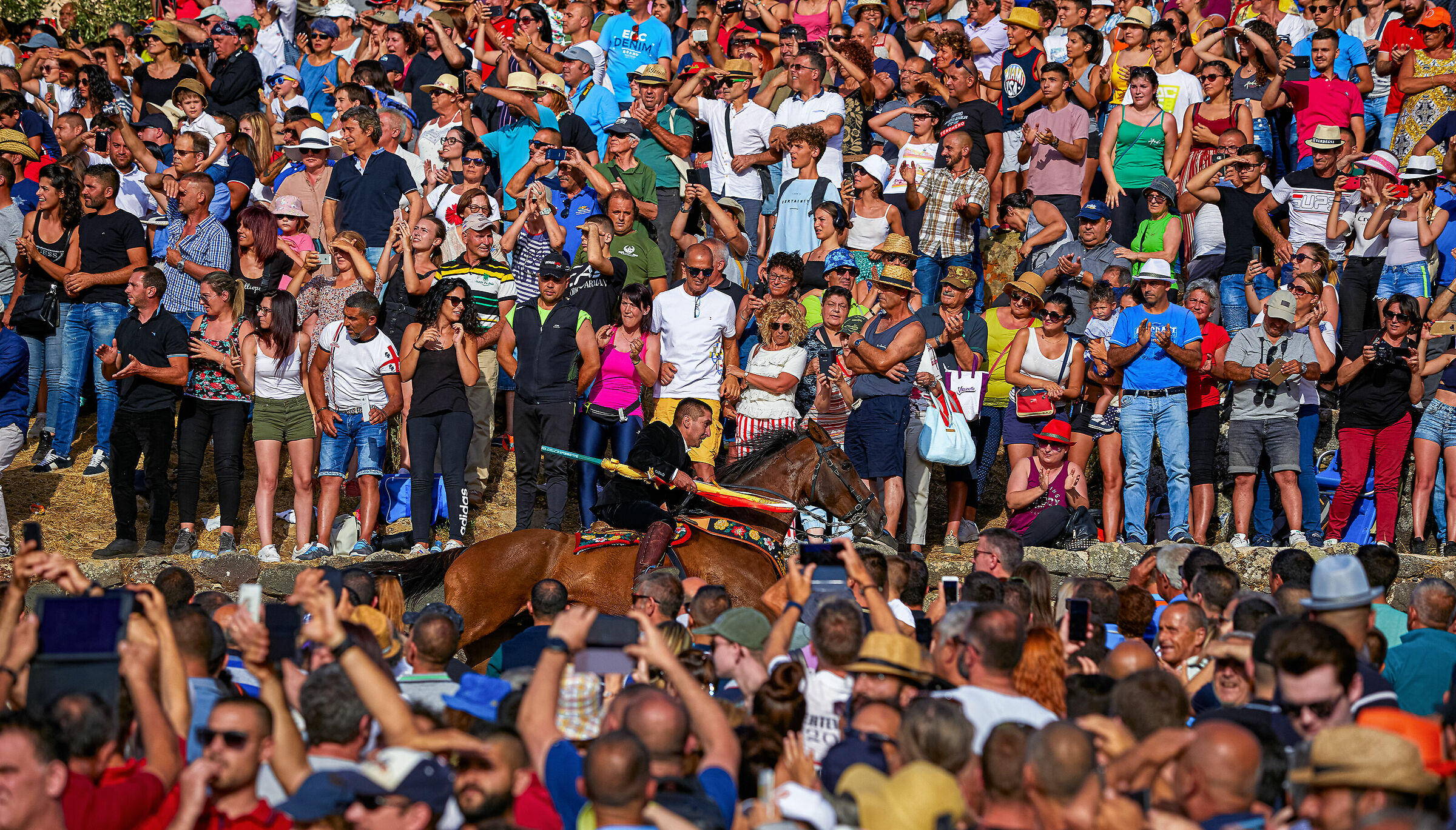 The ardia 2020 calendar cover photo