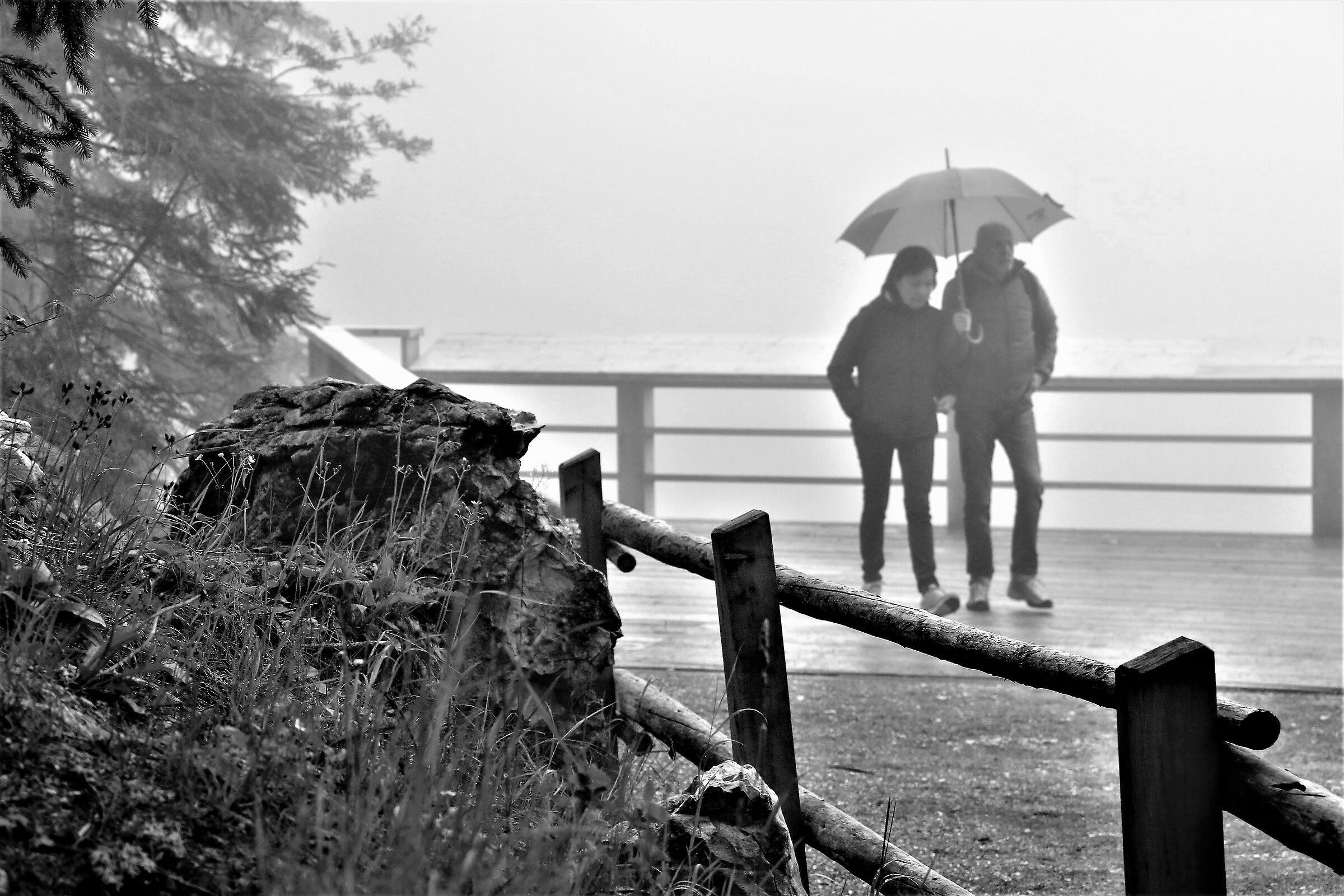 When the fog envelops you