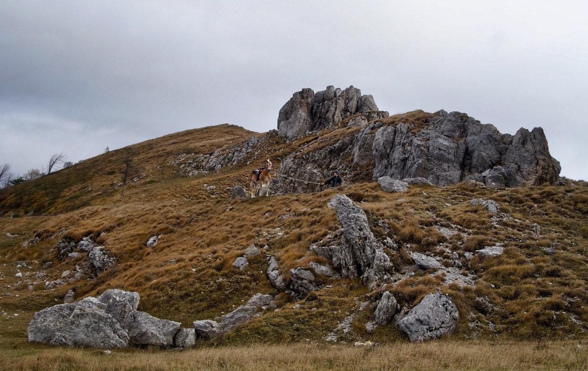 Hold on... they're taking a picture of us!