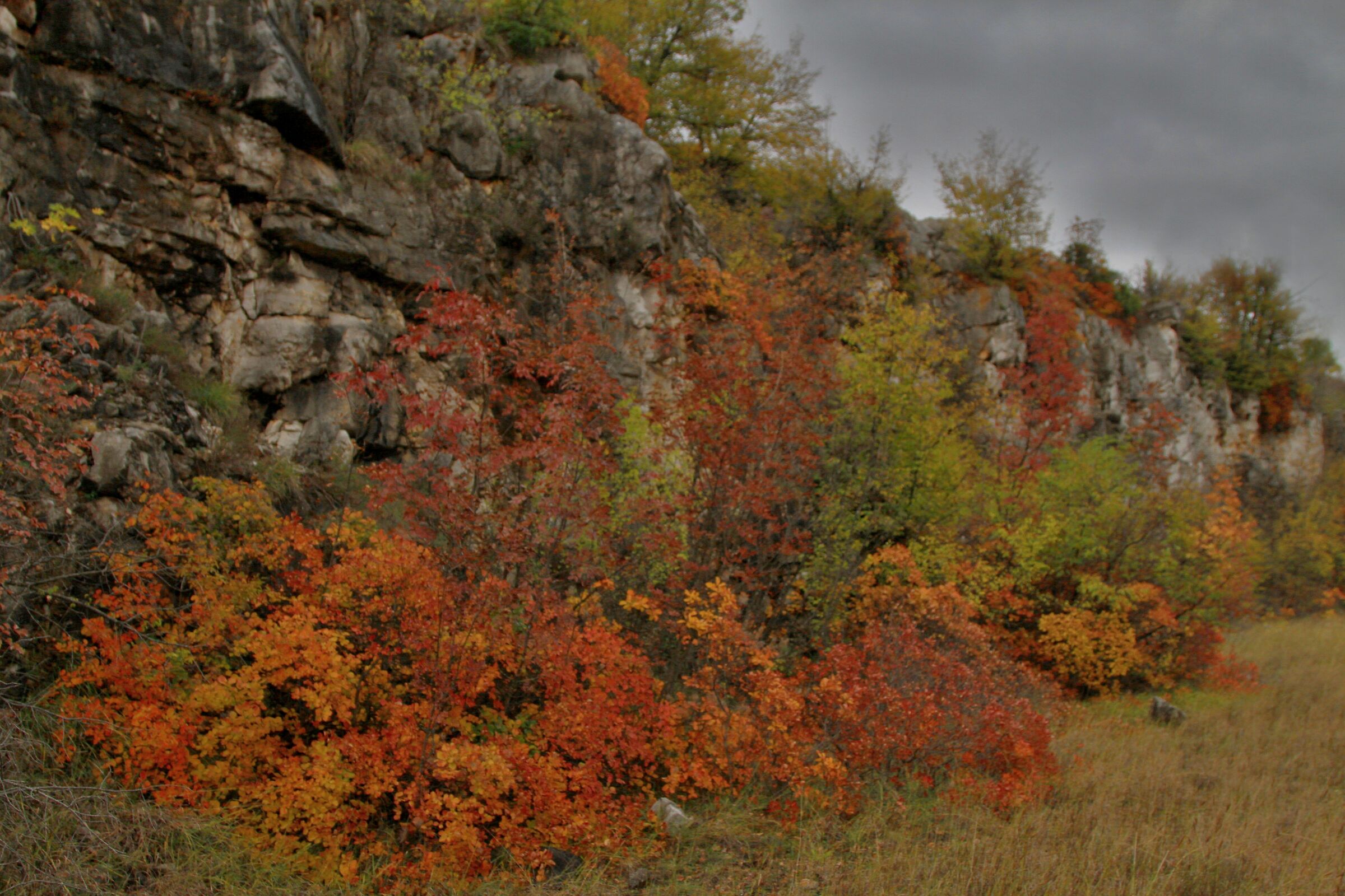 CARSICI SCORCI OF AUTUNNO