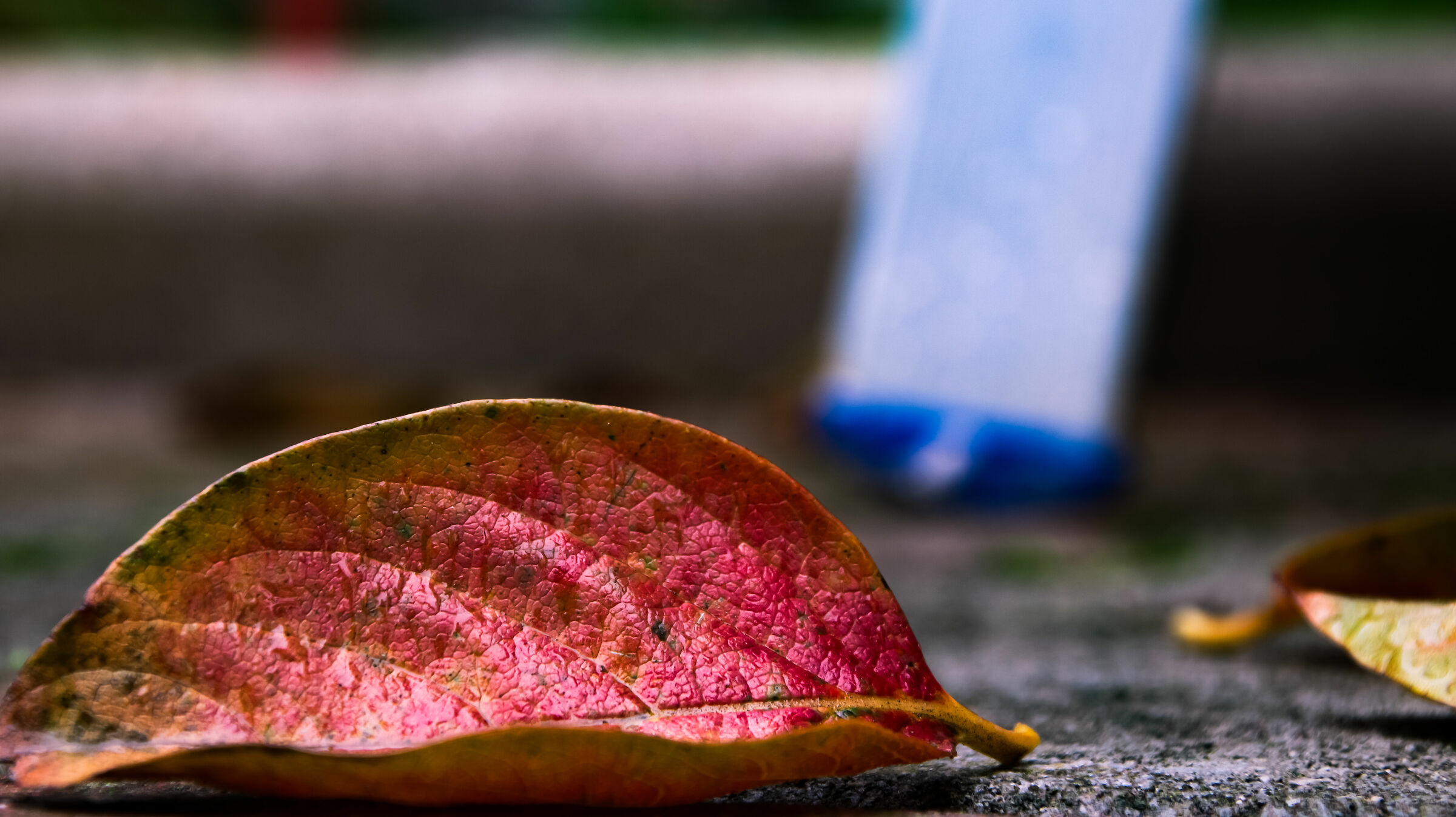Autumn colors adorn the surrounding landscape.