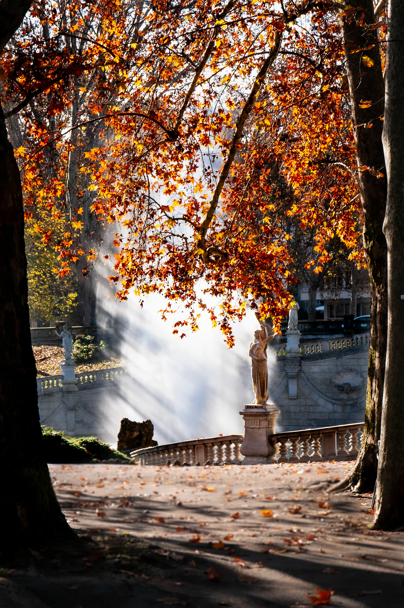 Novembre in Torino