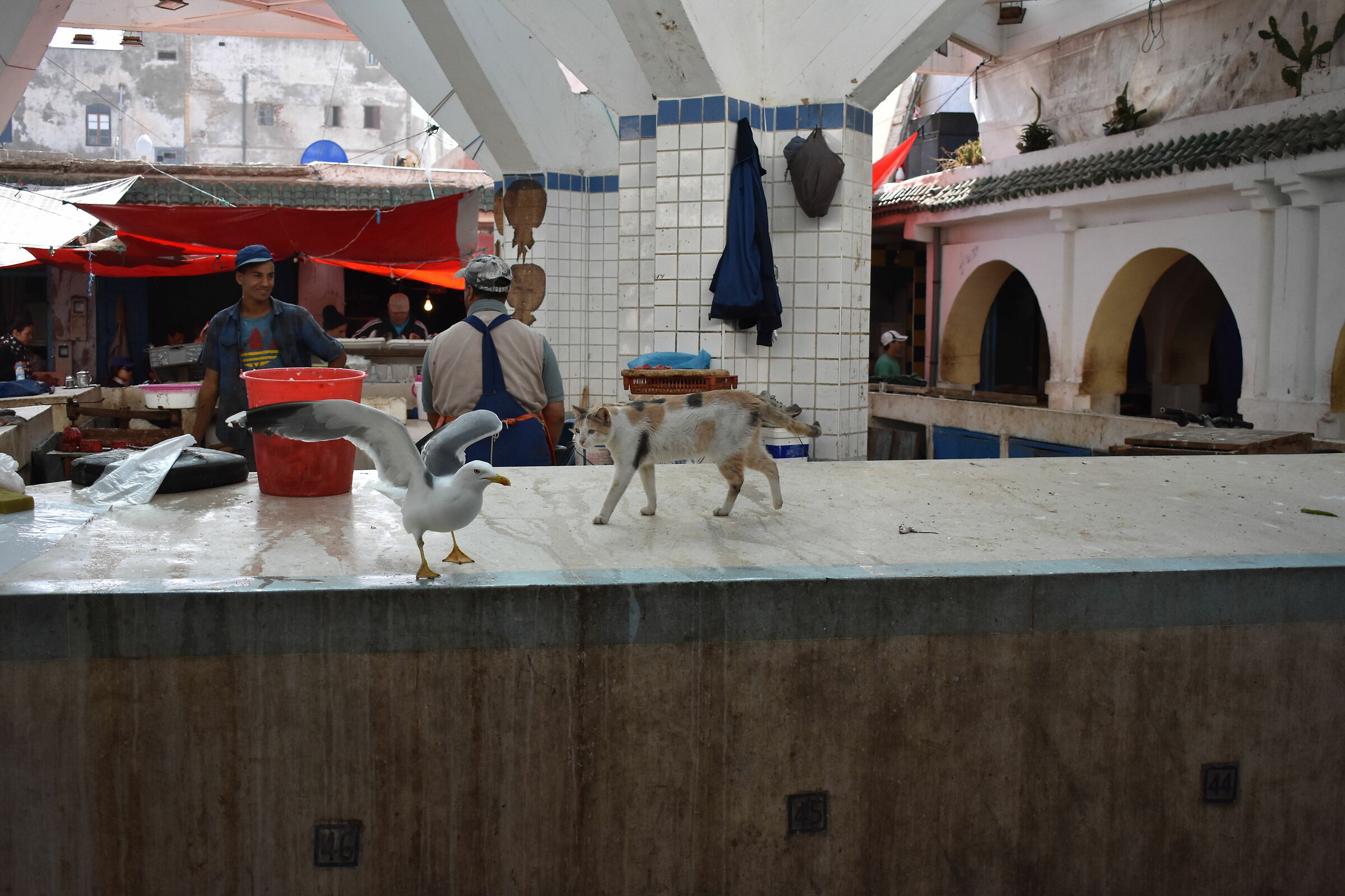 Le marché dans la médina