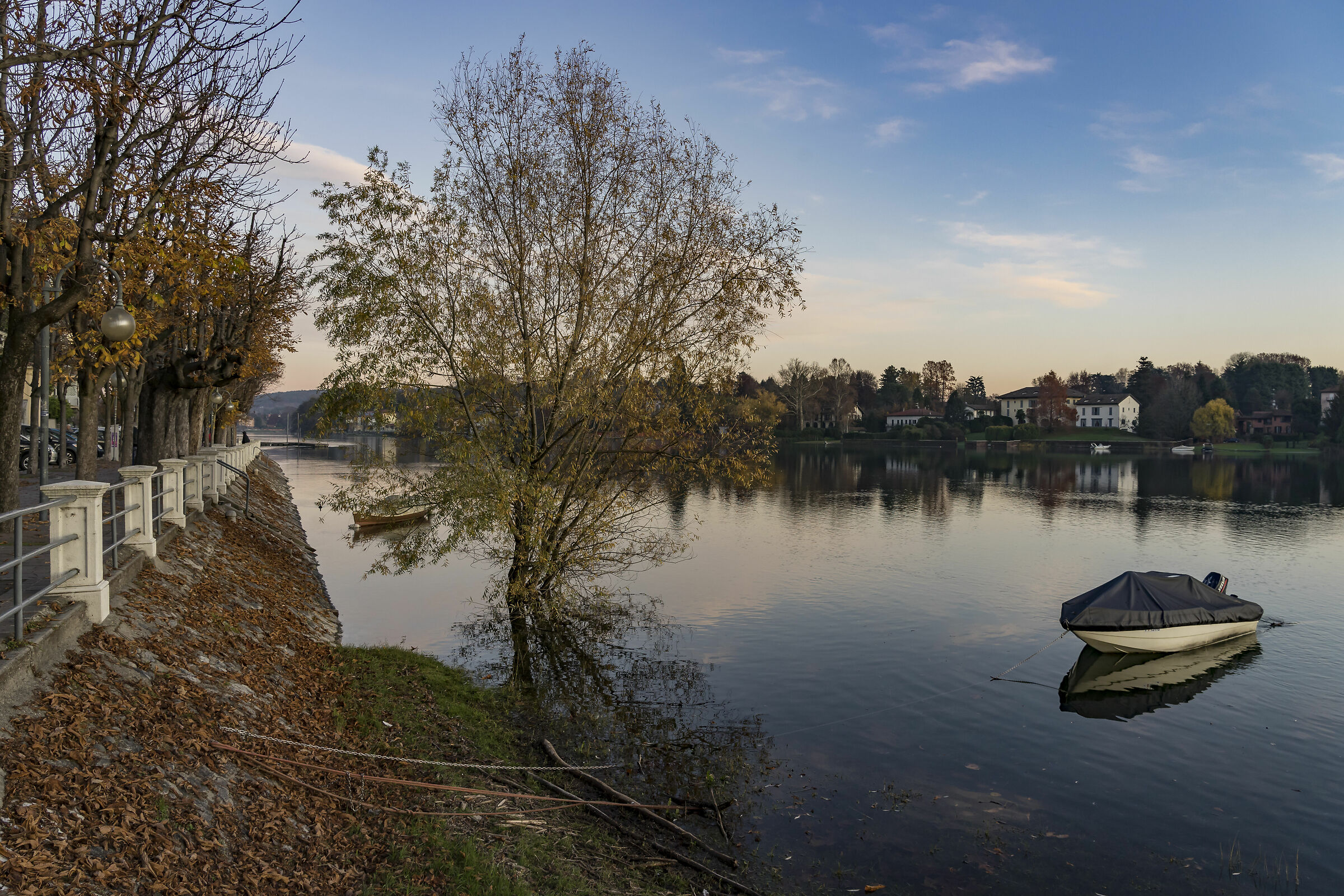 Venerdì 29 novembre 2019, 16:36:30