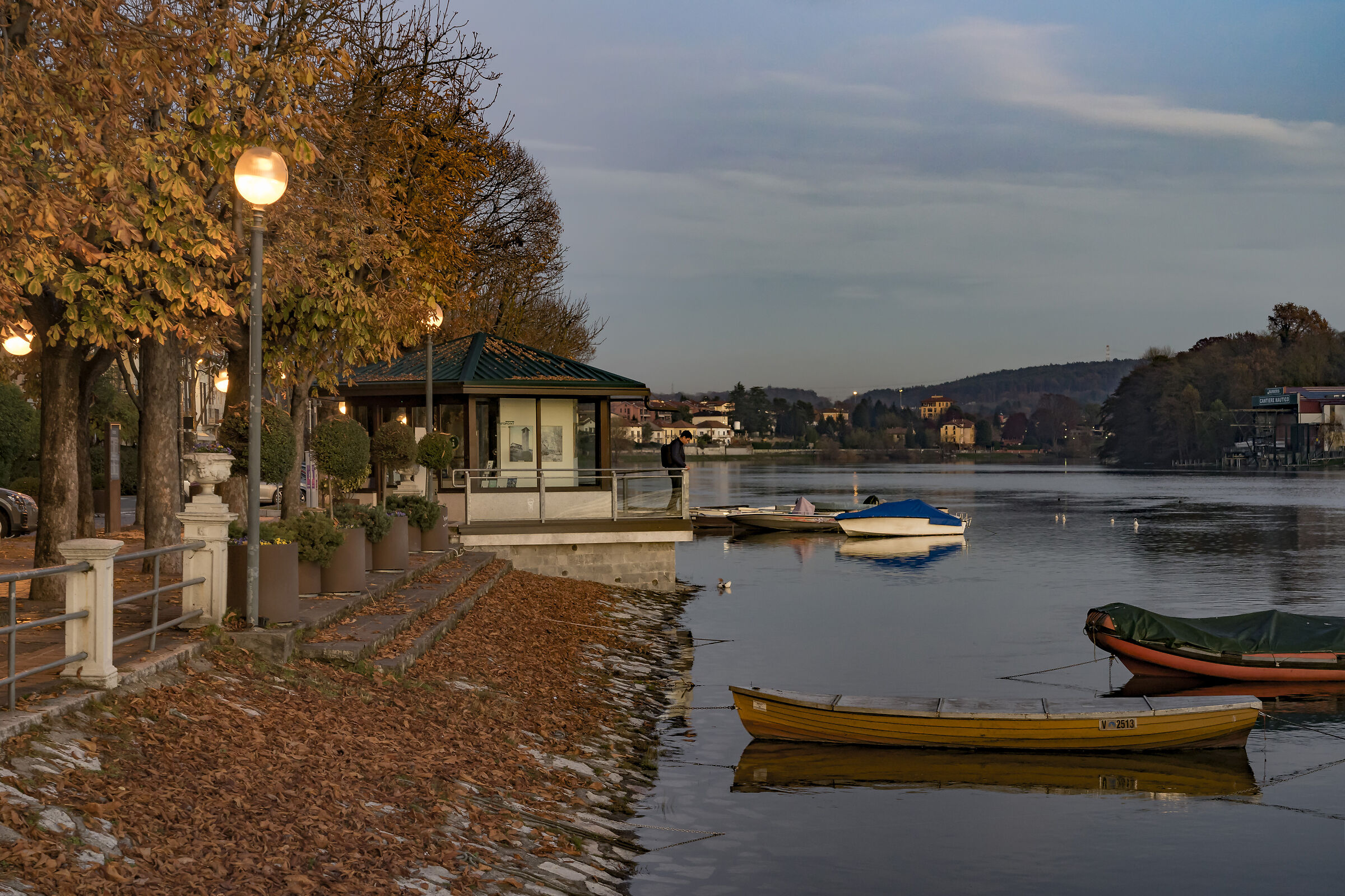 Venerdì 29 novembre 2019, 16:59:32