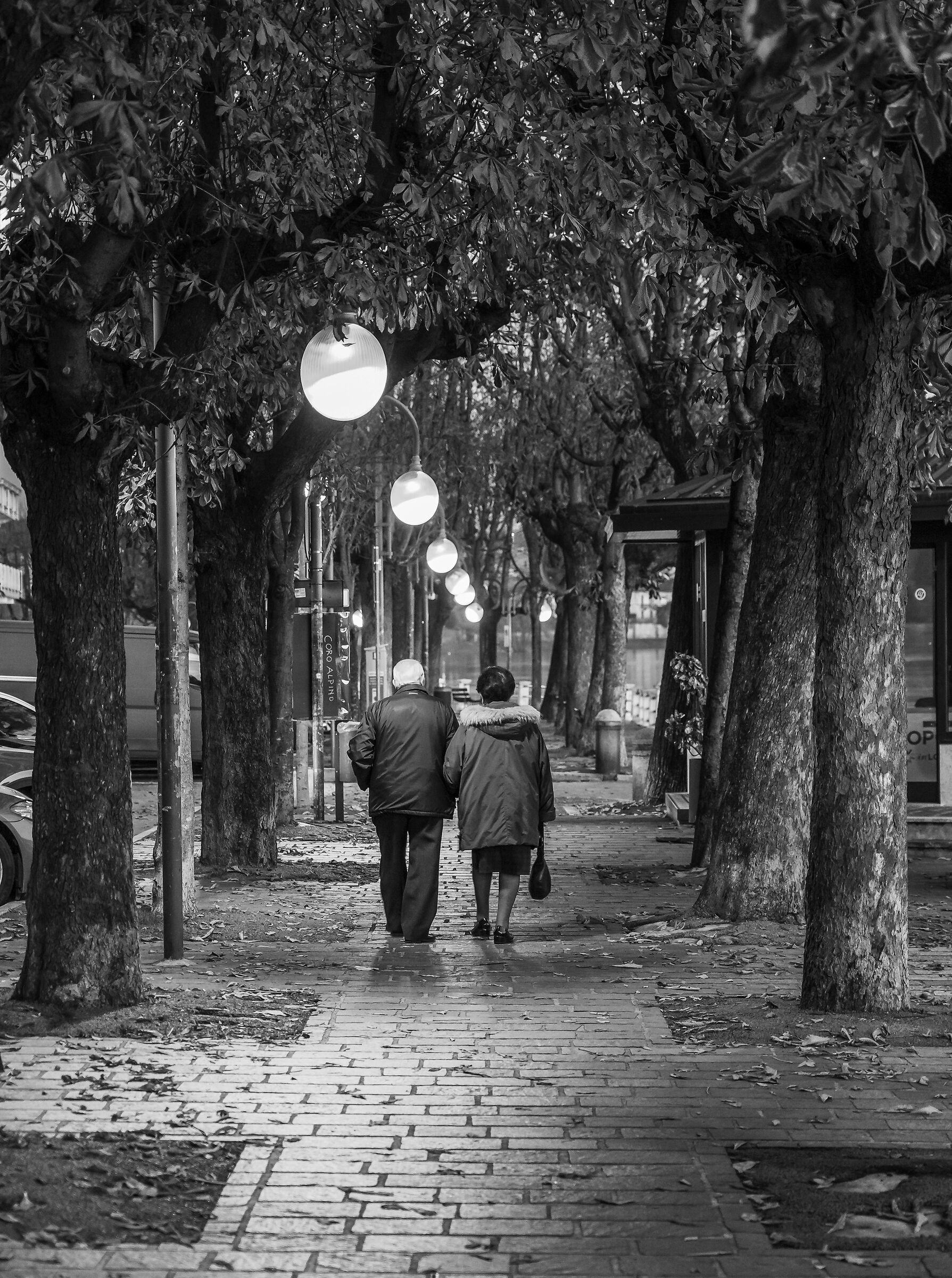 Venerdì 29 novembre 2019, 17:05:48 - Monochrome