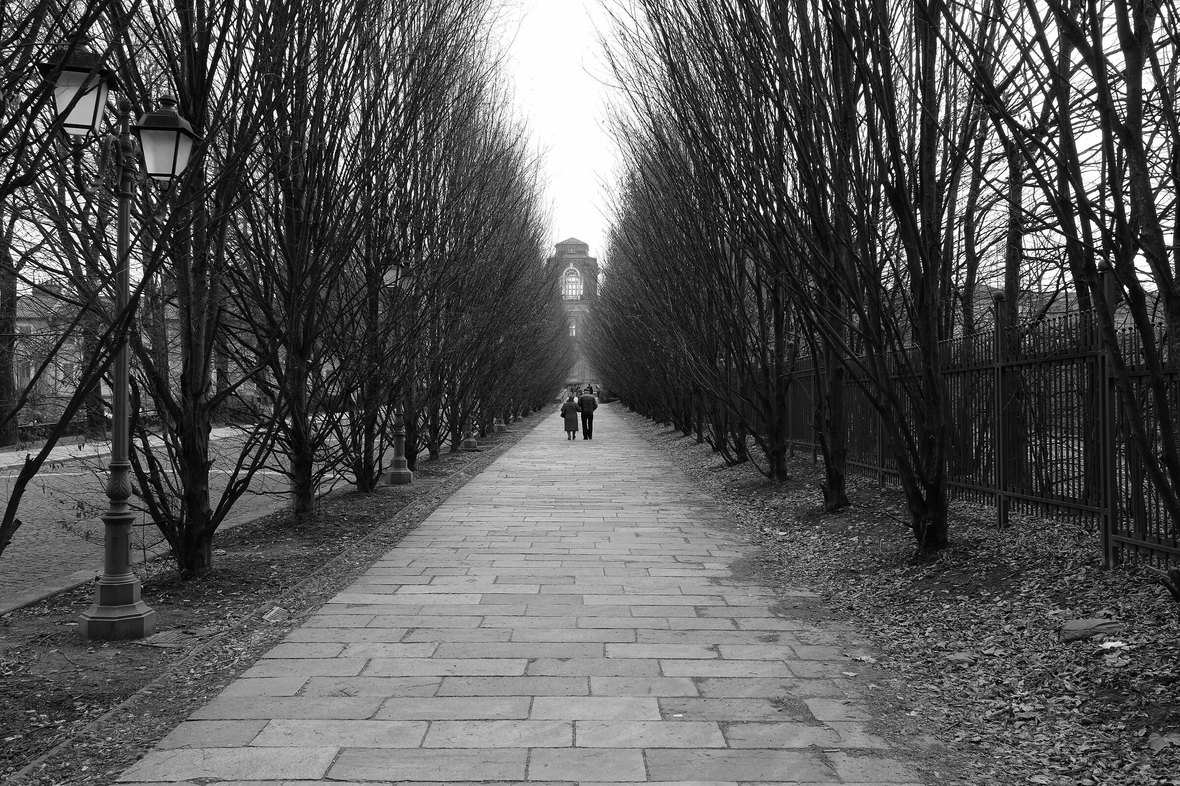 Untitled Photo