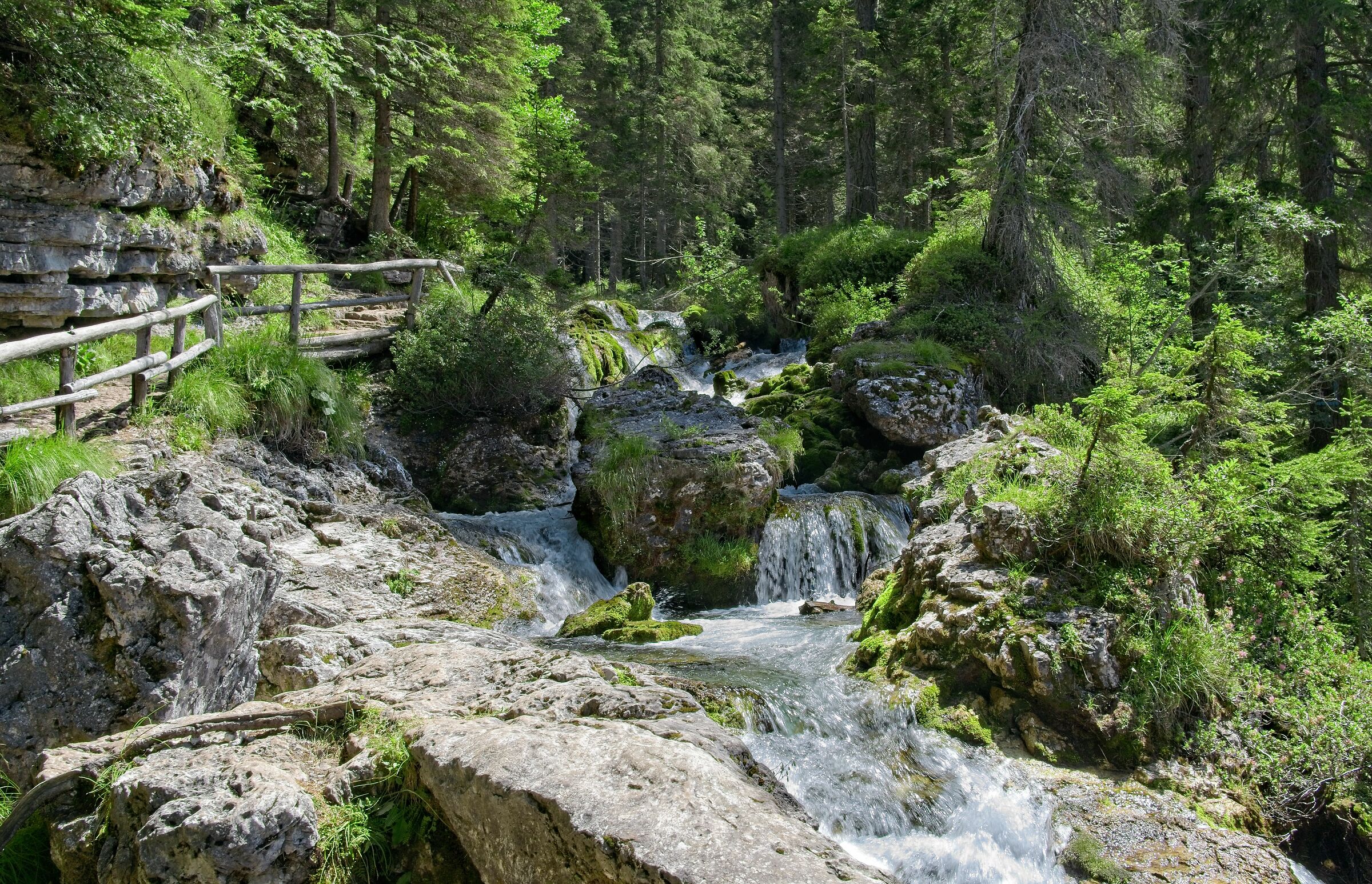 Torrenti di montagna