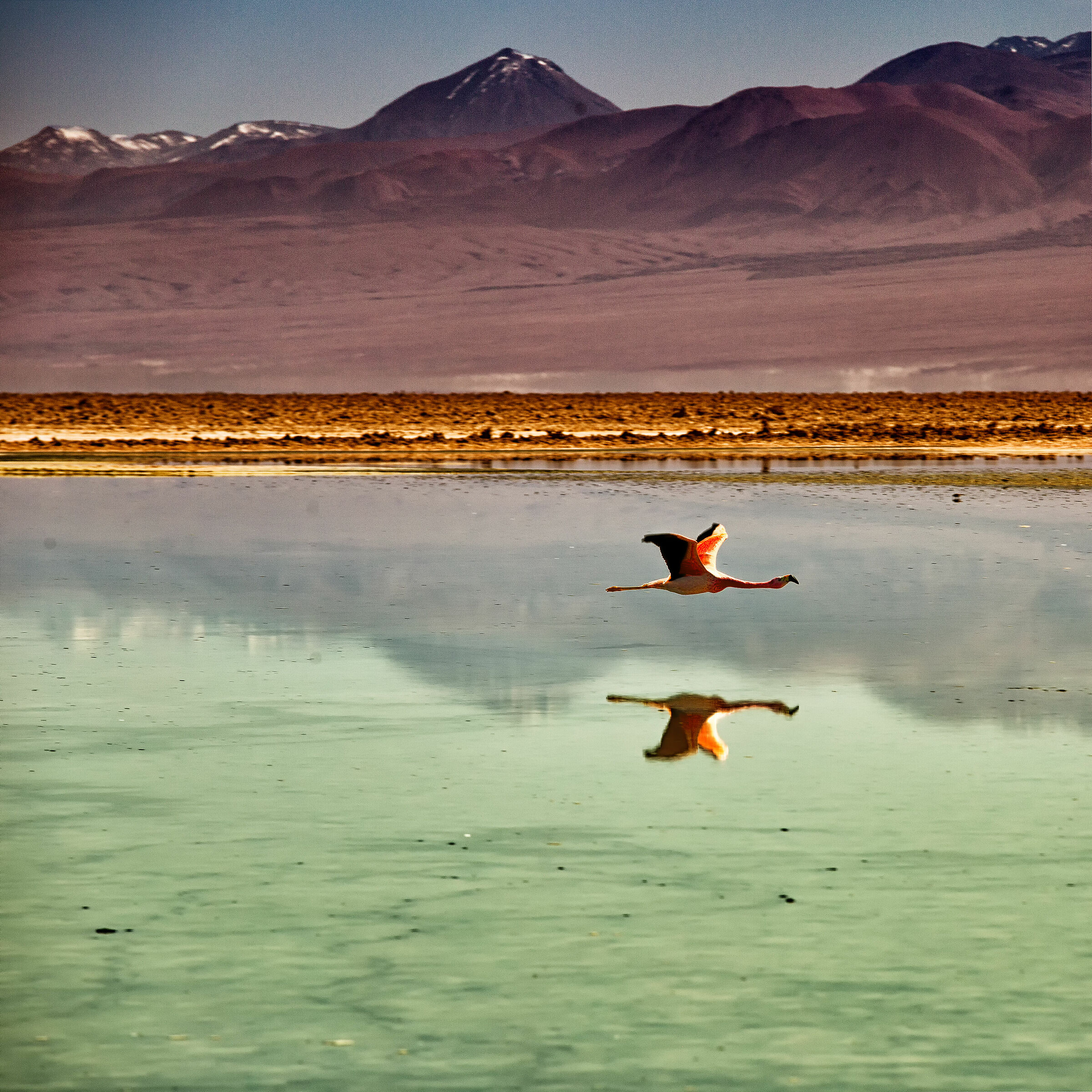 Volo radente a Chaxa
