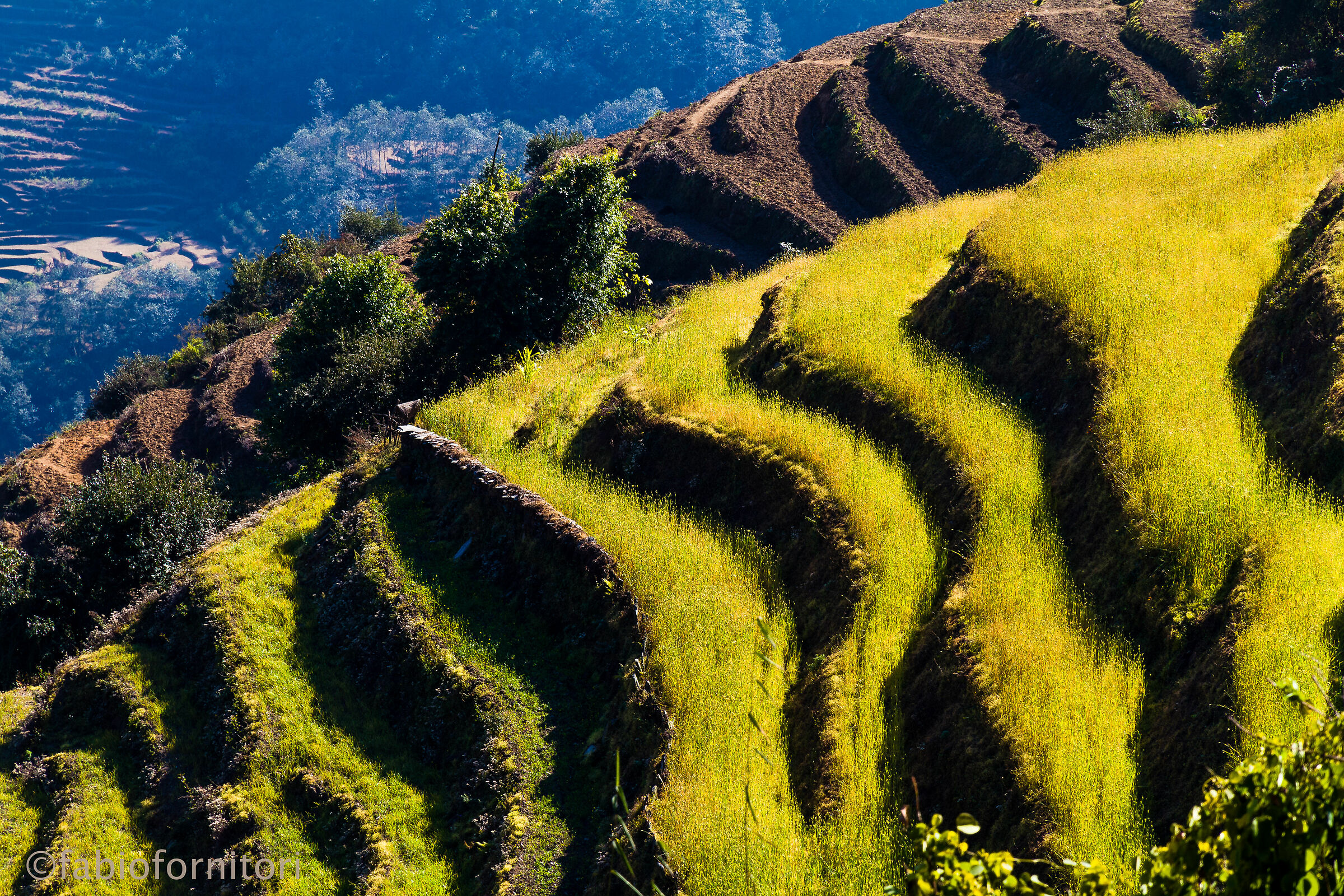 Big Steps , Nepal 2010