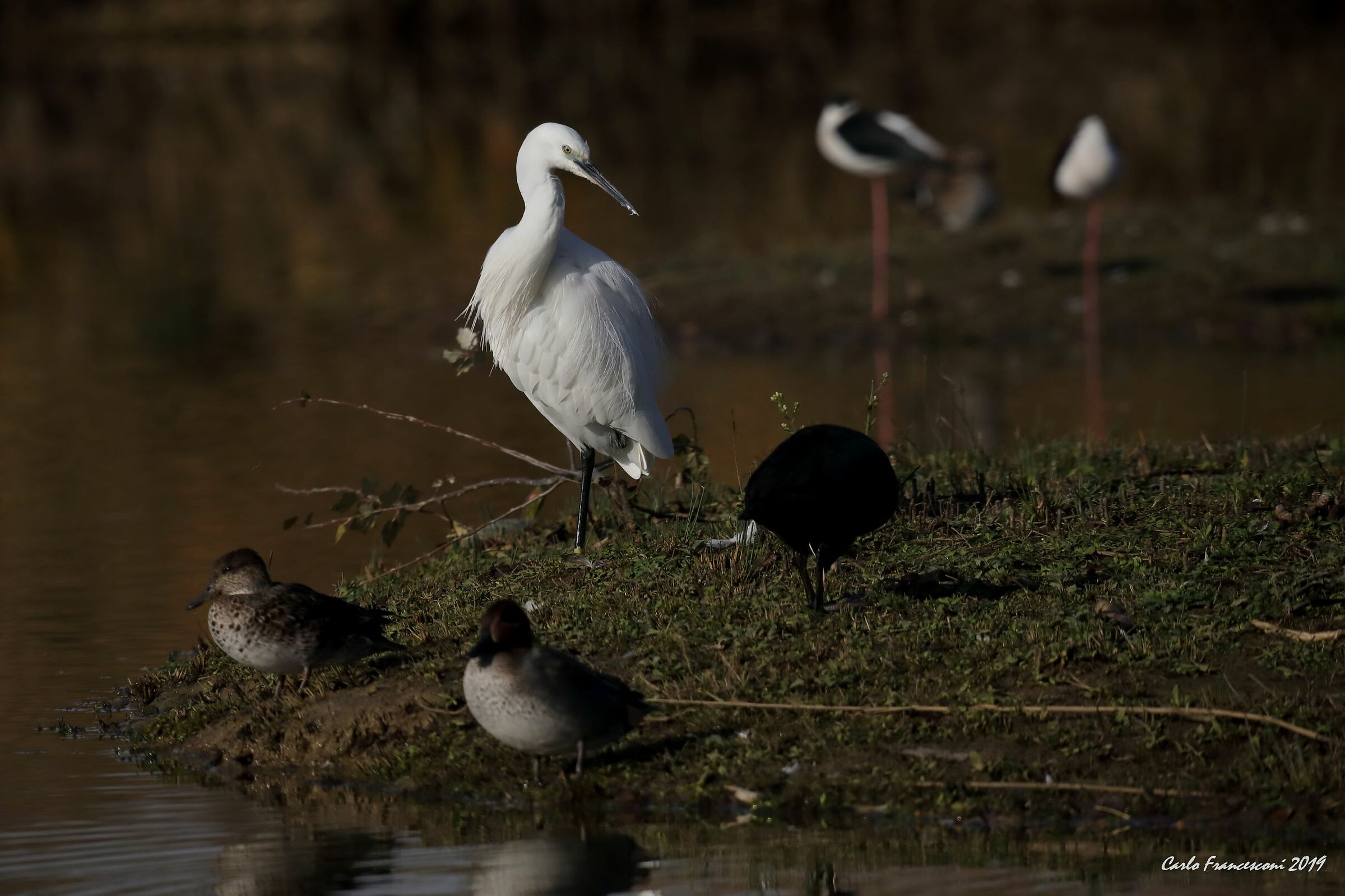 quadretto di un esterno