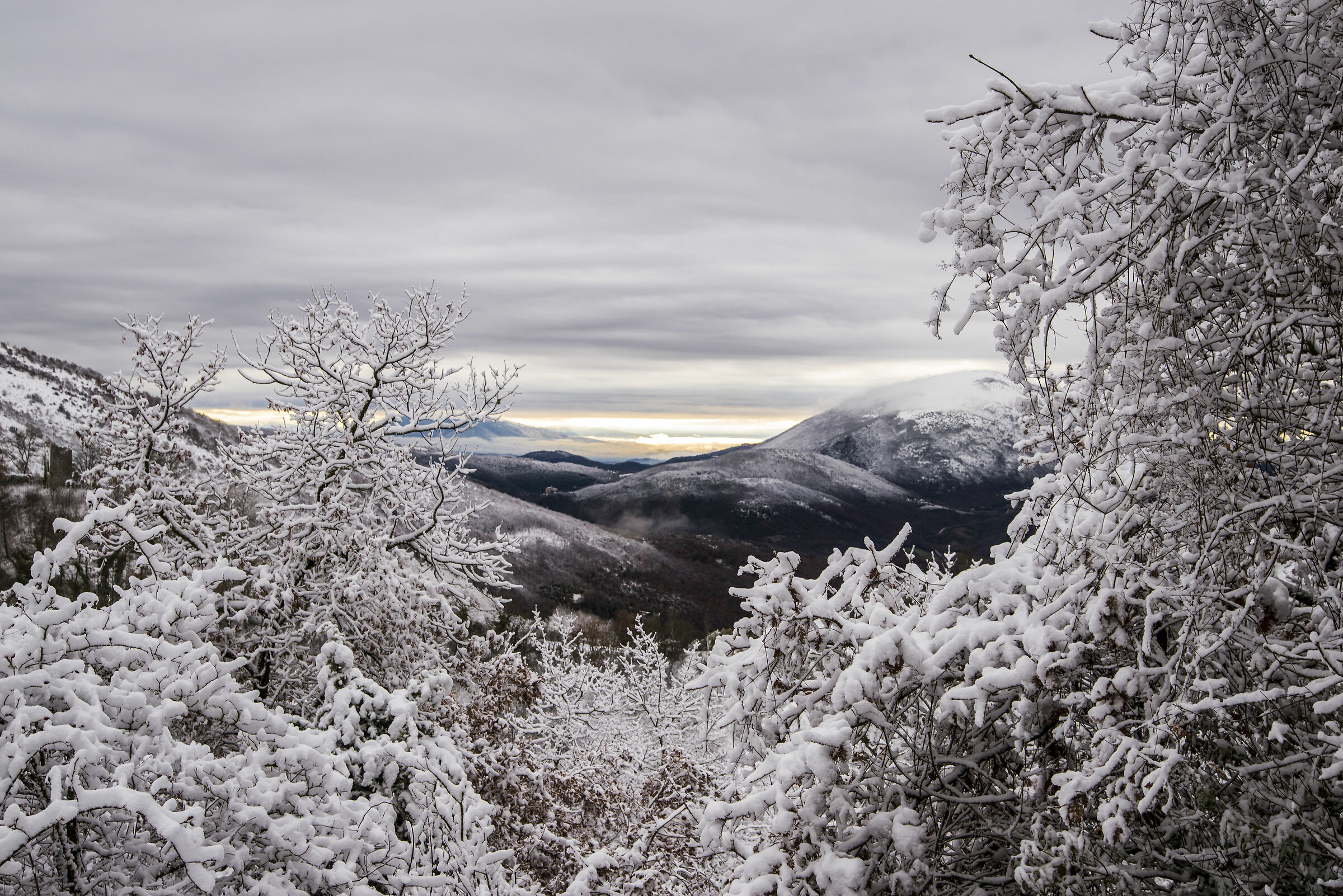 Scorcio innevato