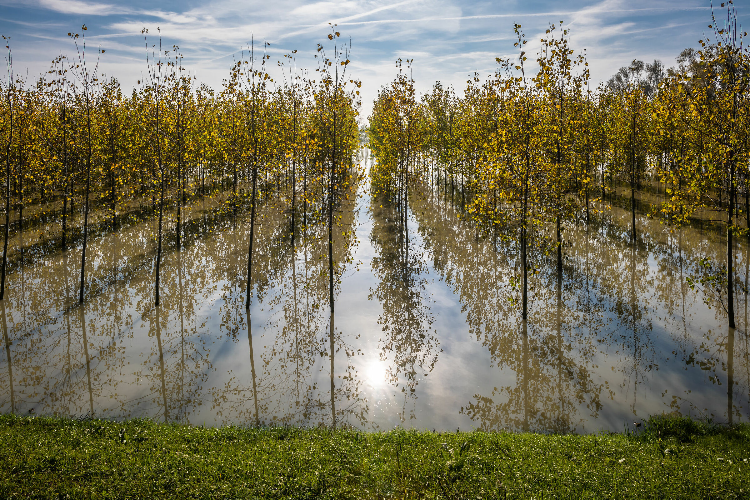 The Shore of the Sun