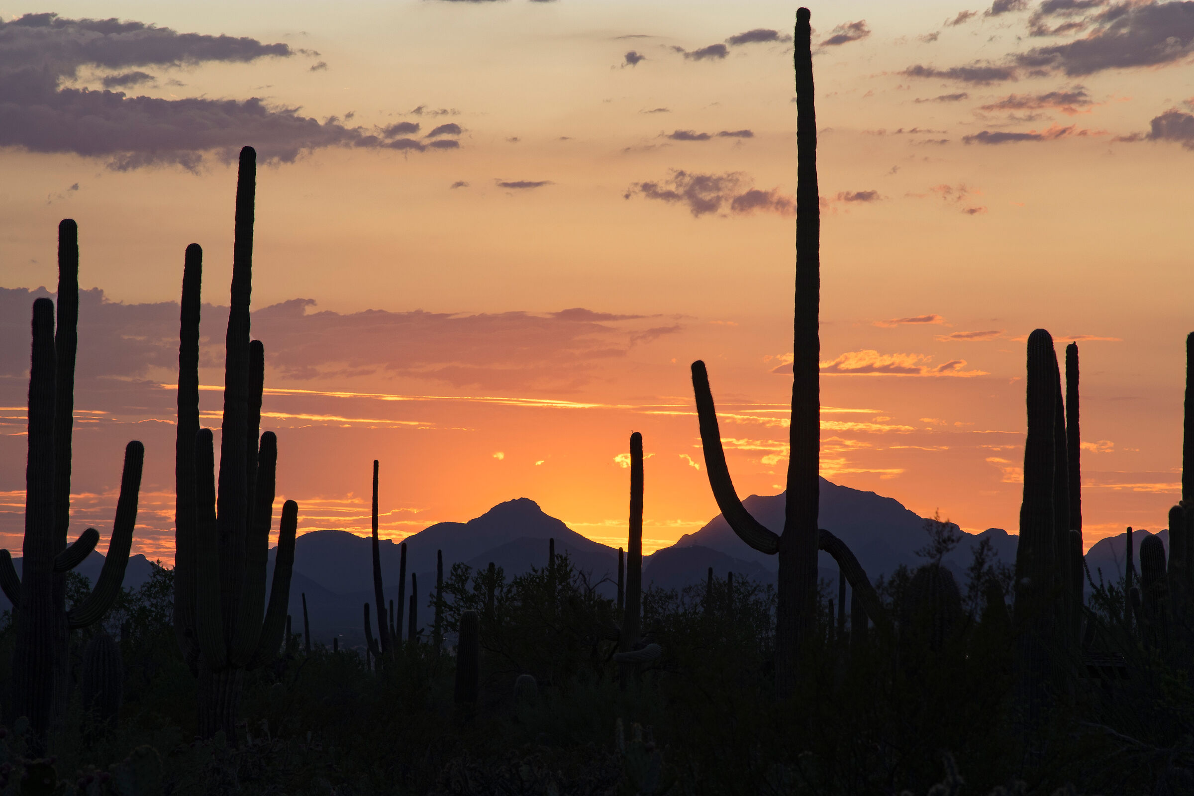 Tramonto in Arizona 2