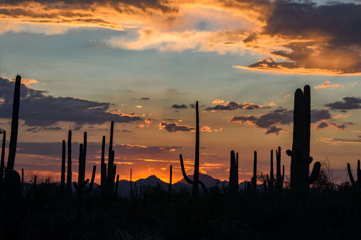Sunset in Arizona 3
