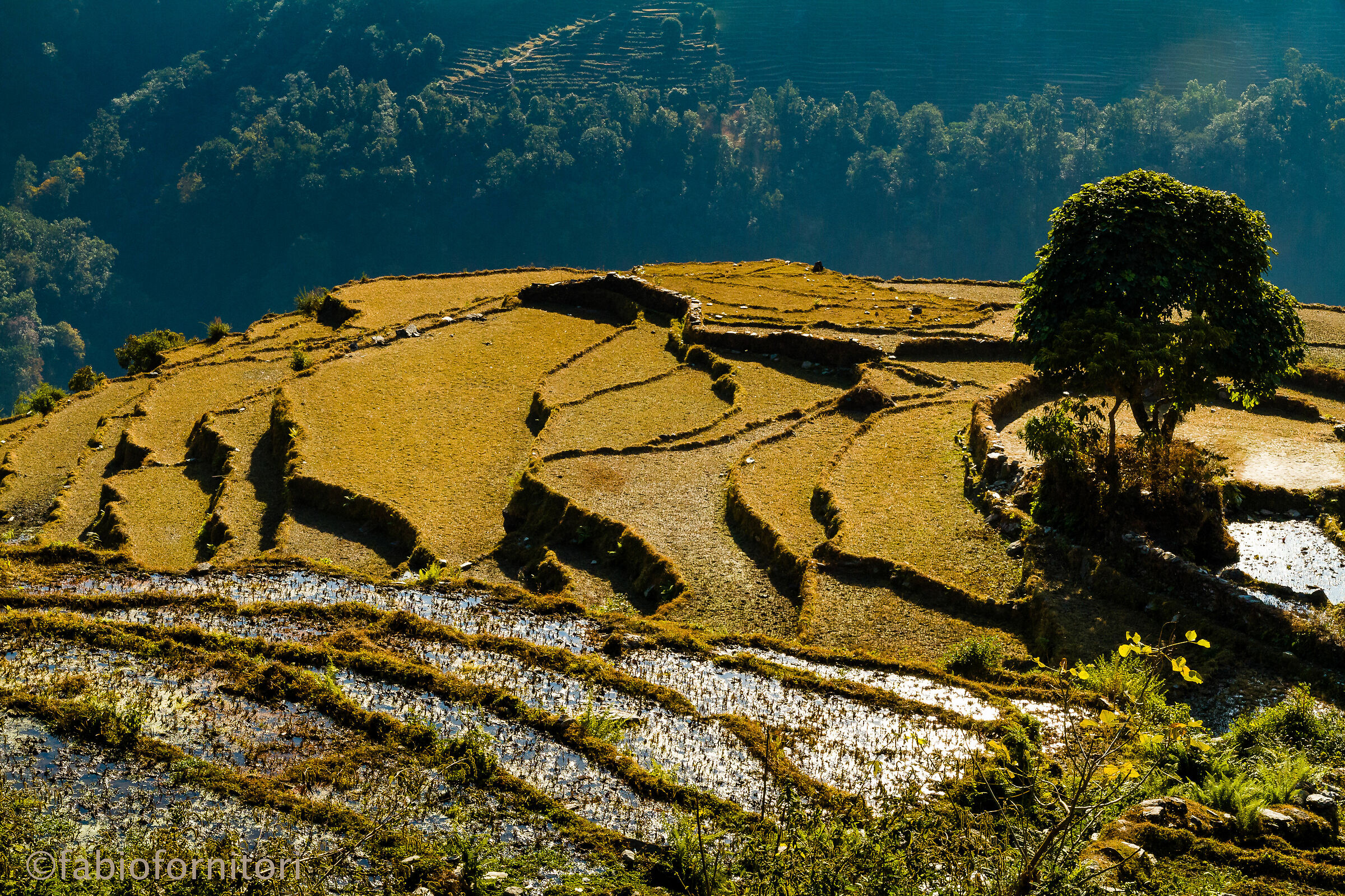 Another Steps Landscape , Nepal 2010