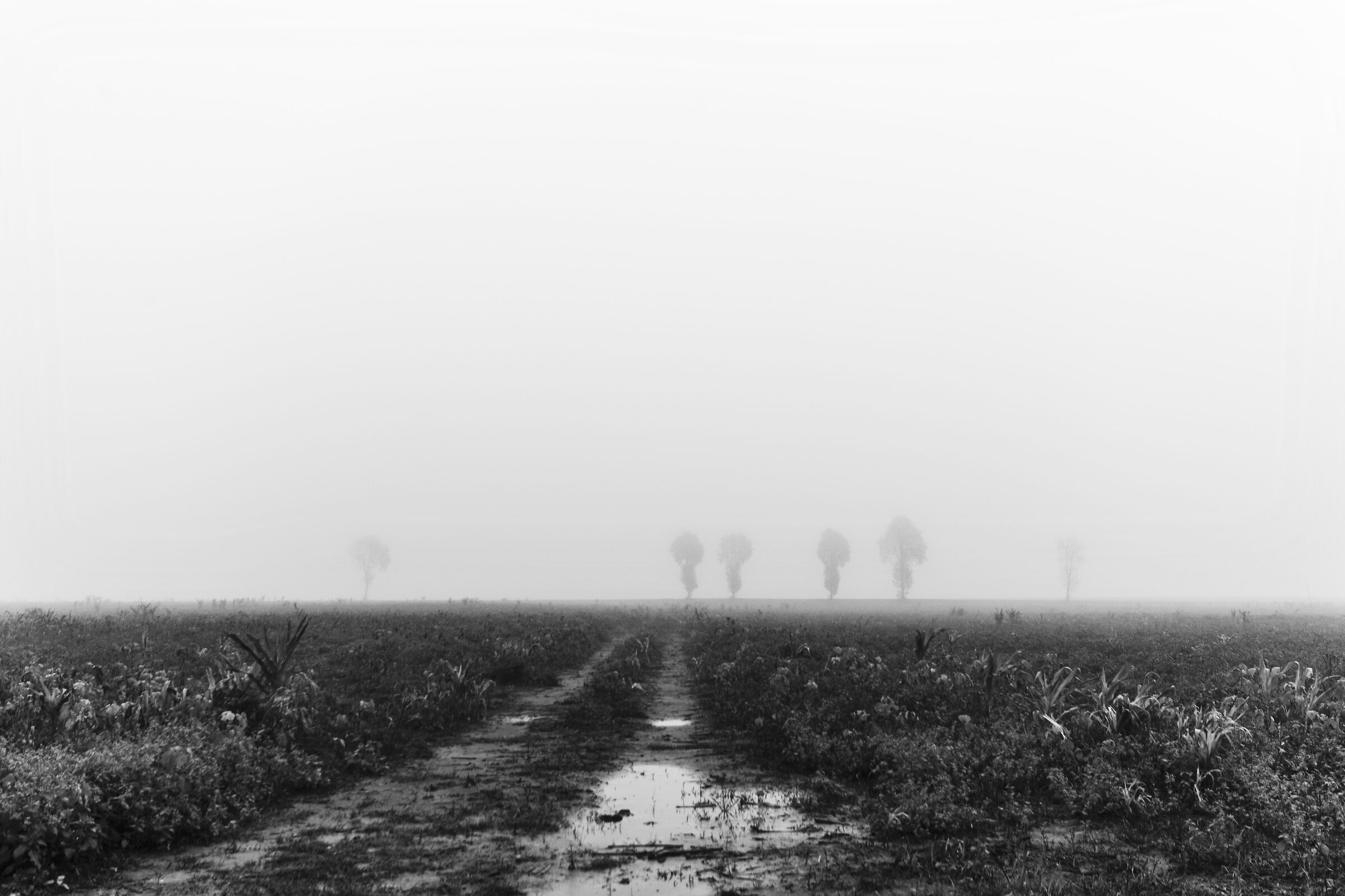 Padernello e la nebbia