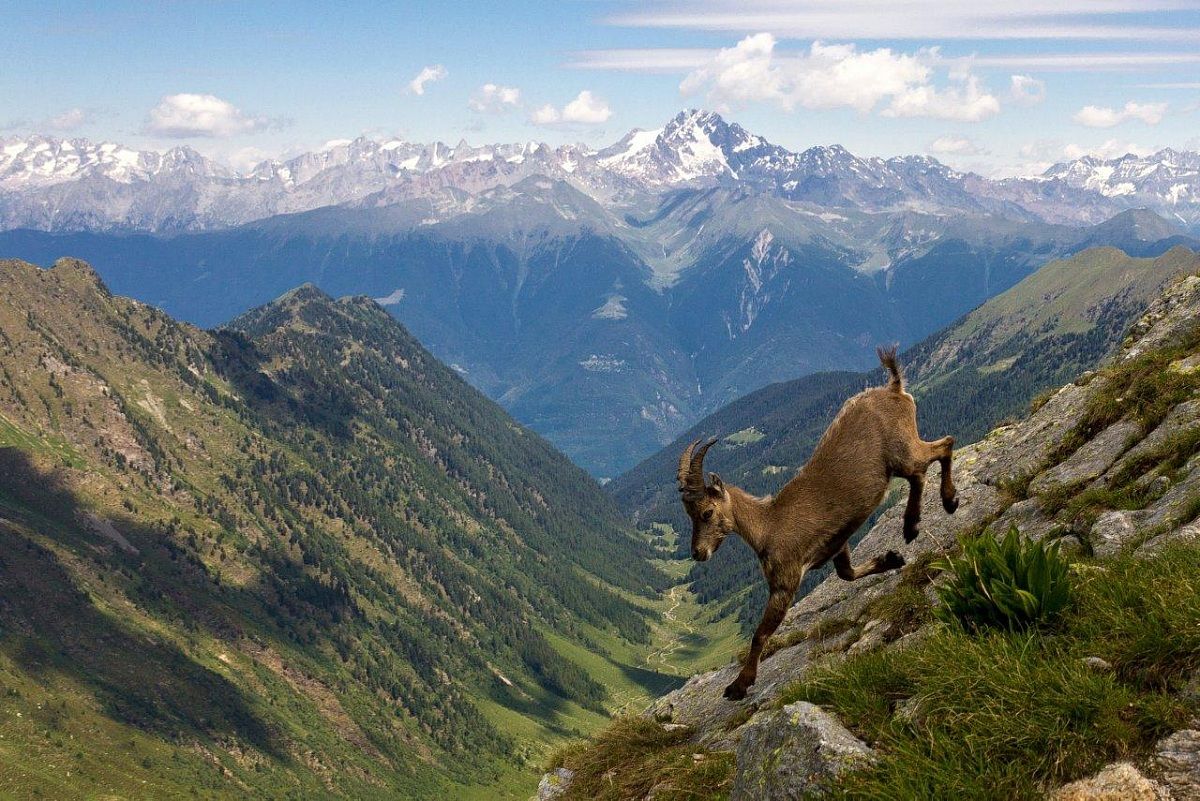 I call this 'be in the right place at the right time..&#...