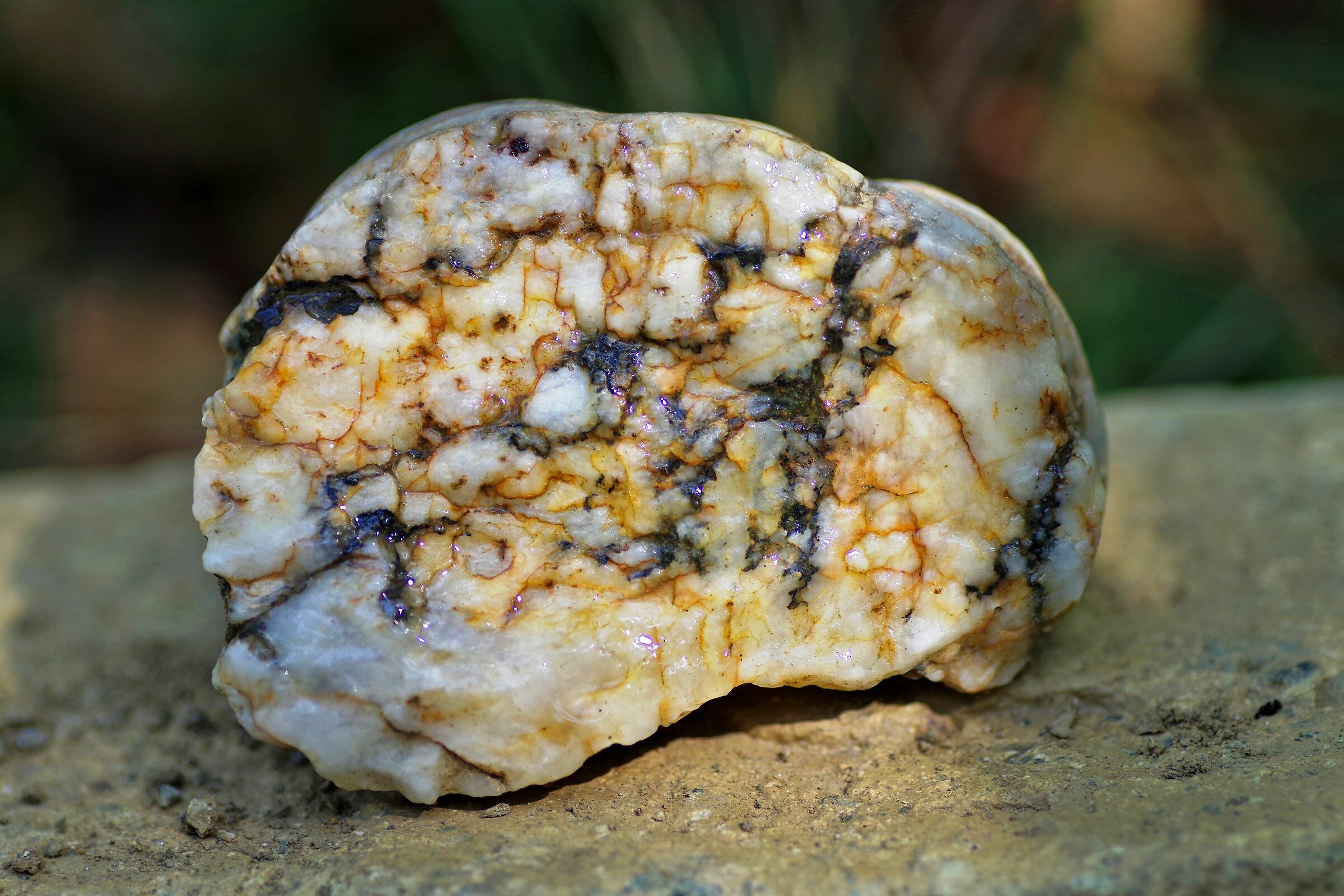 Pietra non so che tipo di "pietra" sia