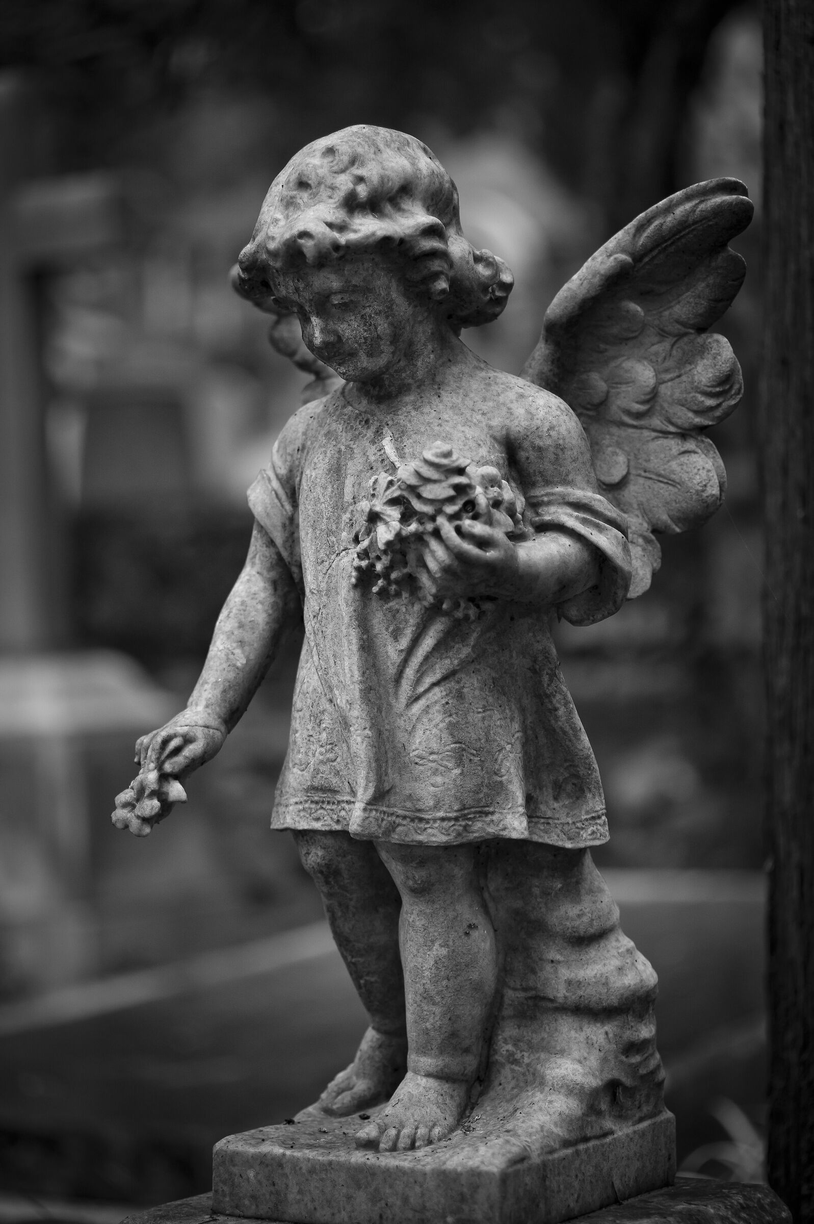 Acattolic Rome Cemetery