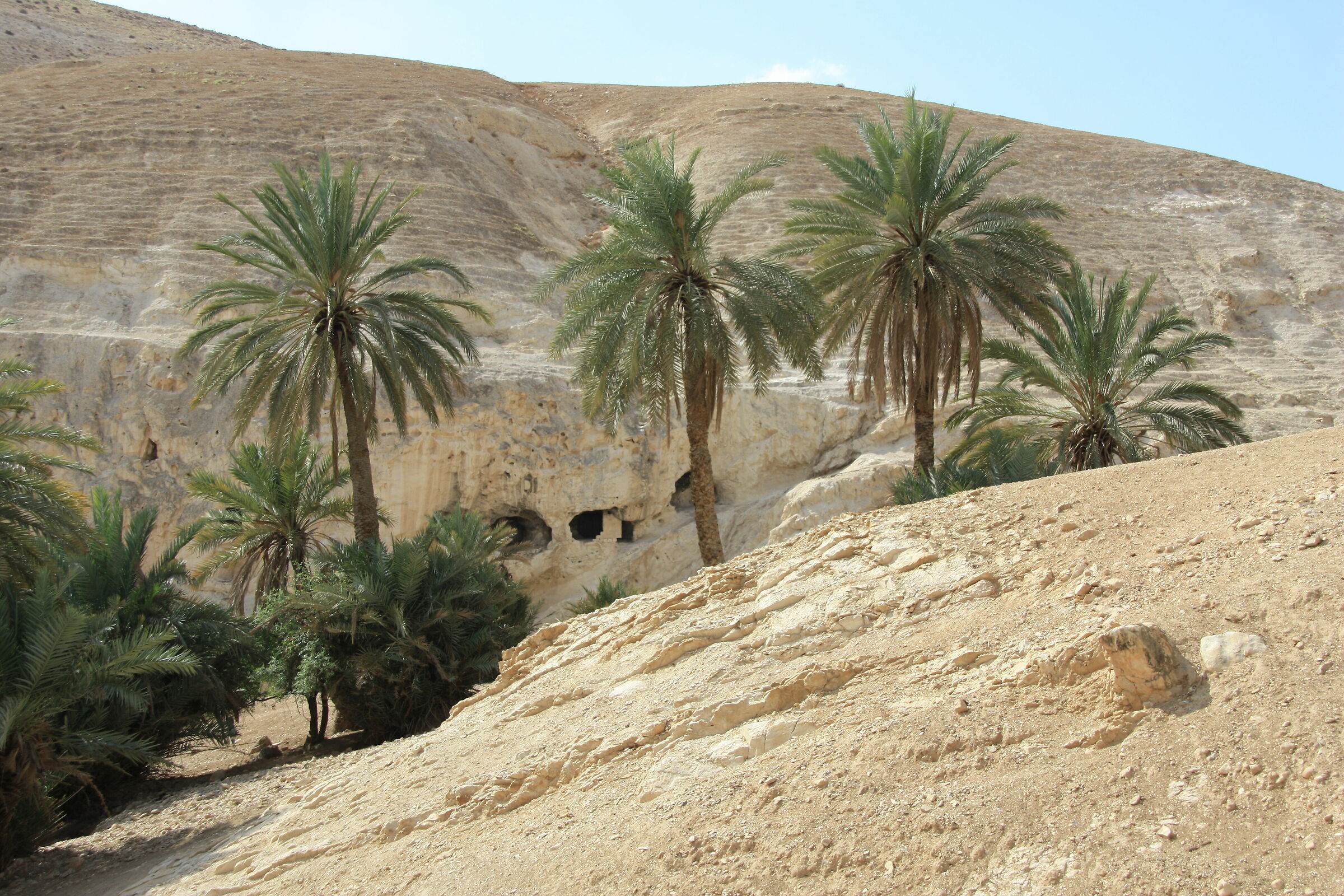 Deserto di Giuda - Wadi Prat