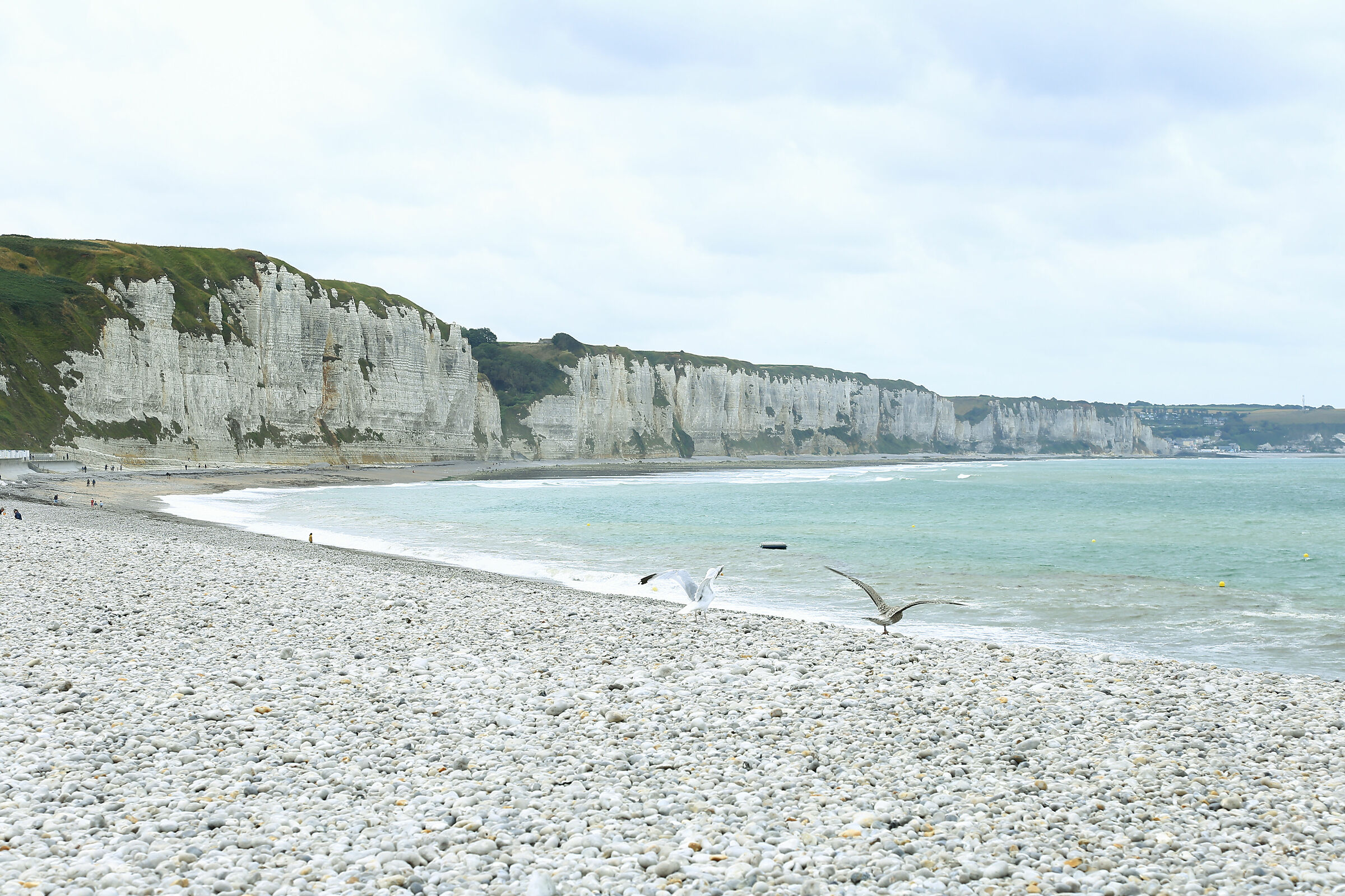 Etretat Cliffs