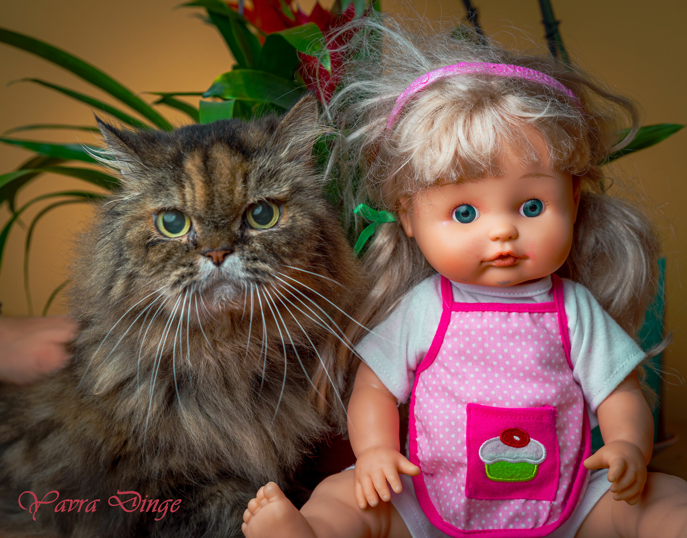 Sofbox 90 Portrait Test