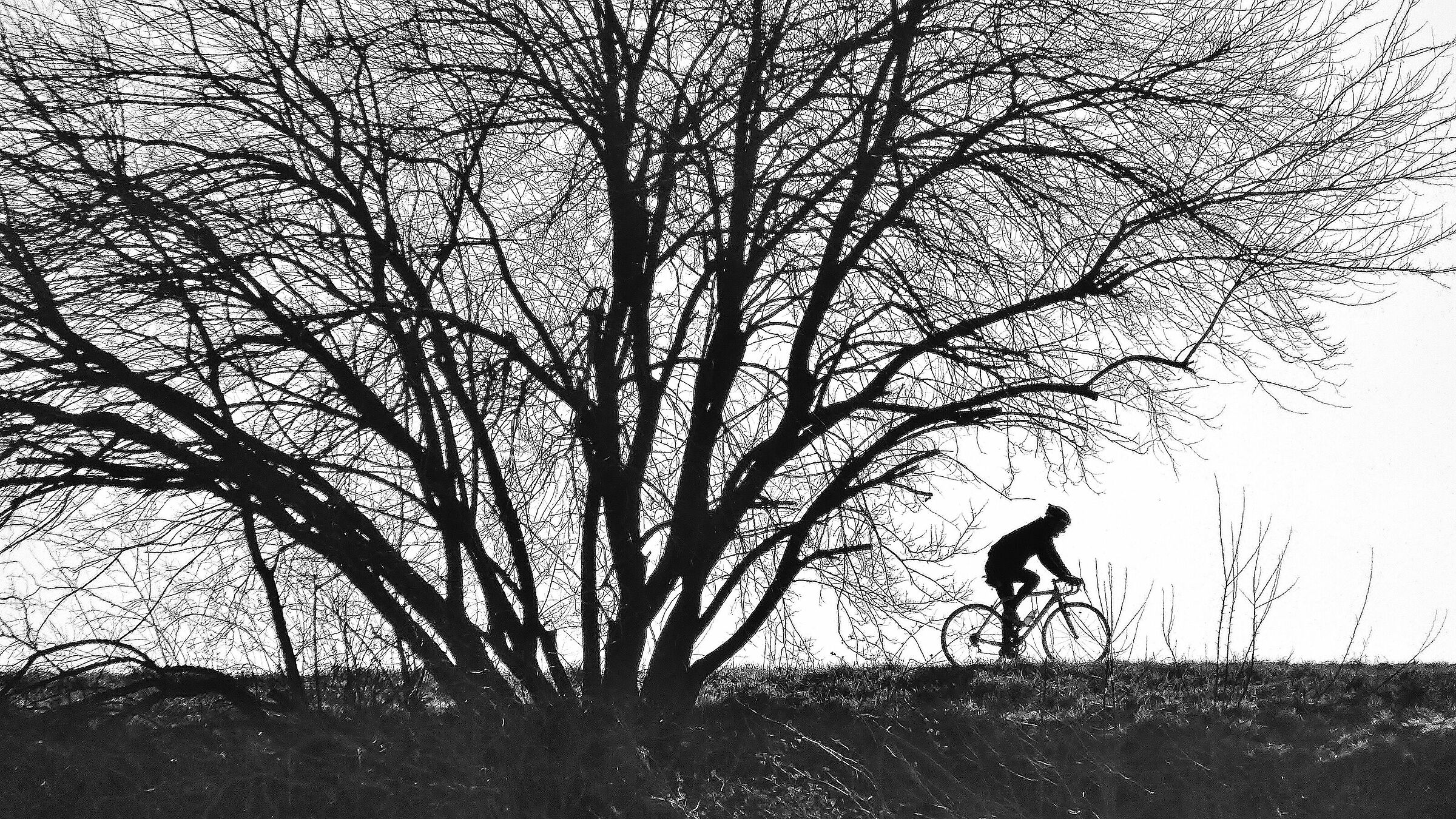Cyclist on the embankment of Adige in Legnago