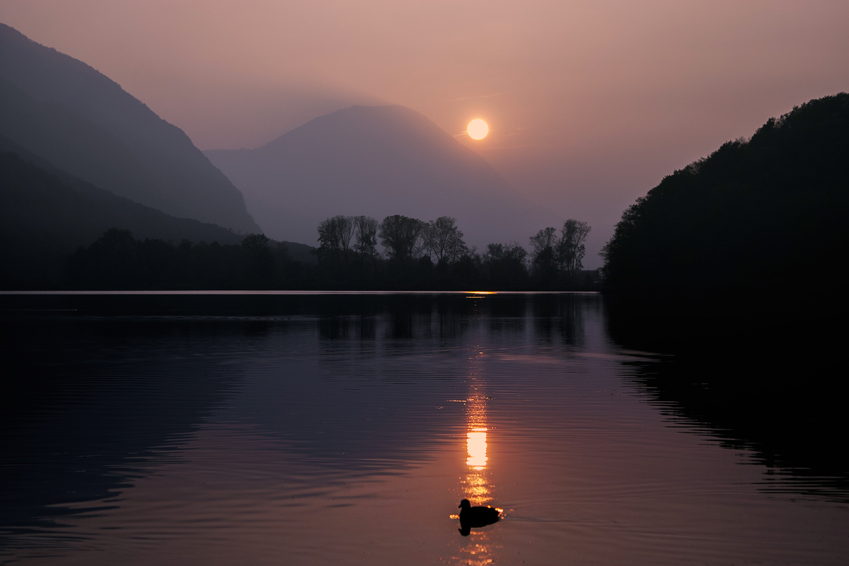 reflections and transparencies