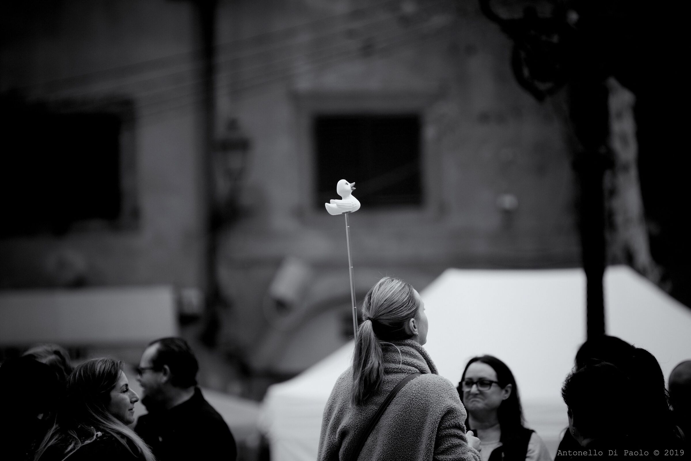 Chi mi ama mi segua!