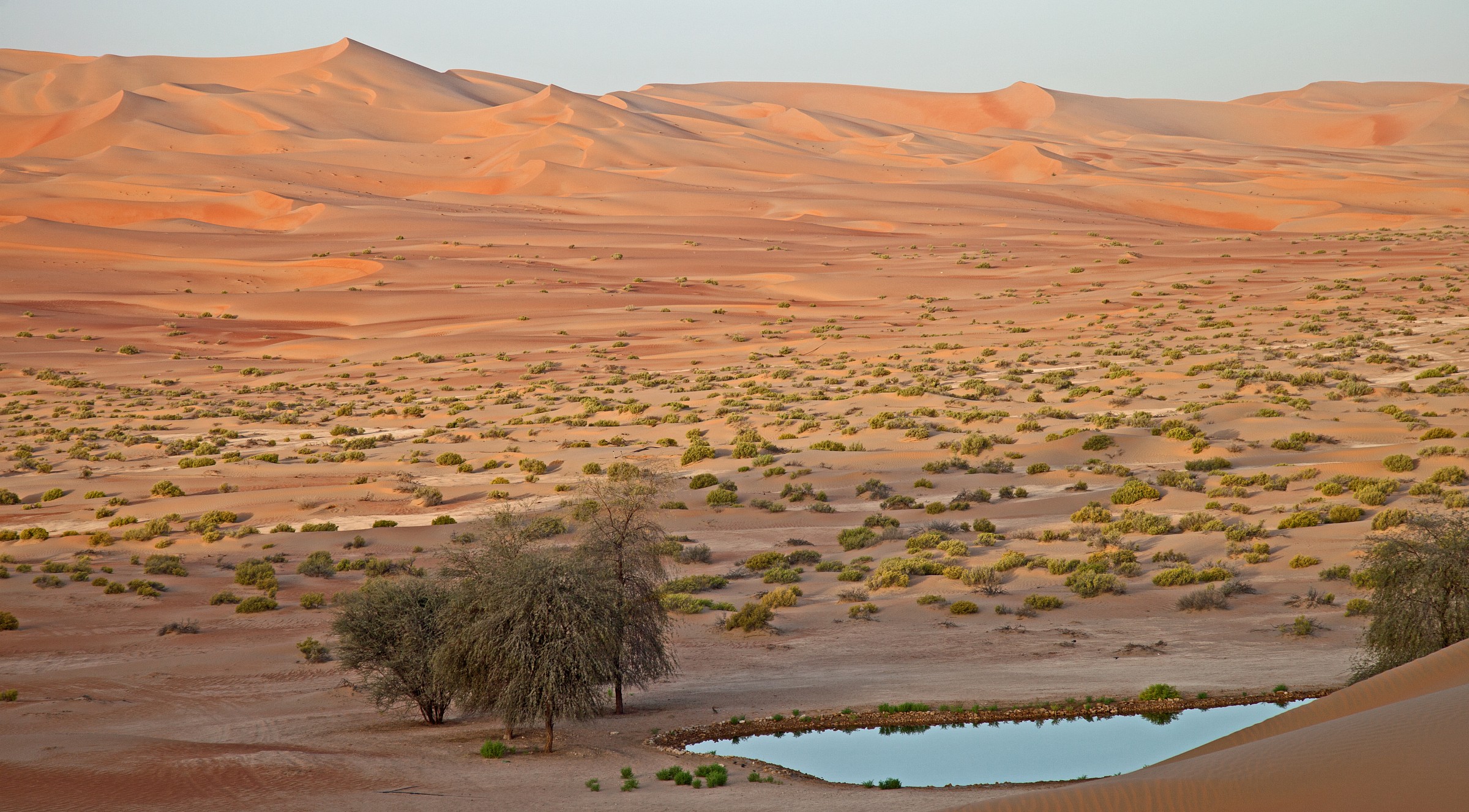 deserto di liwa