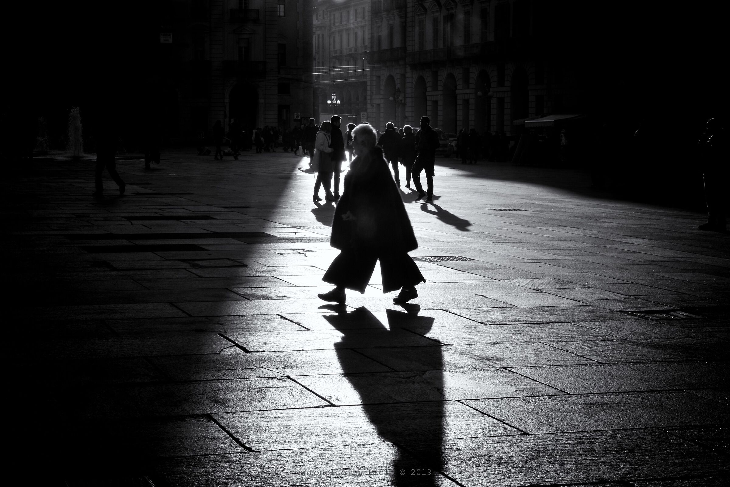 Passano giochi di luce e d'ombra
