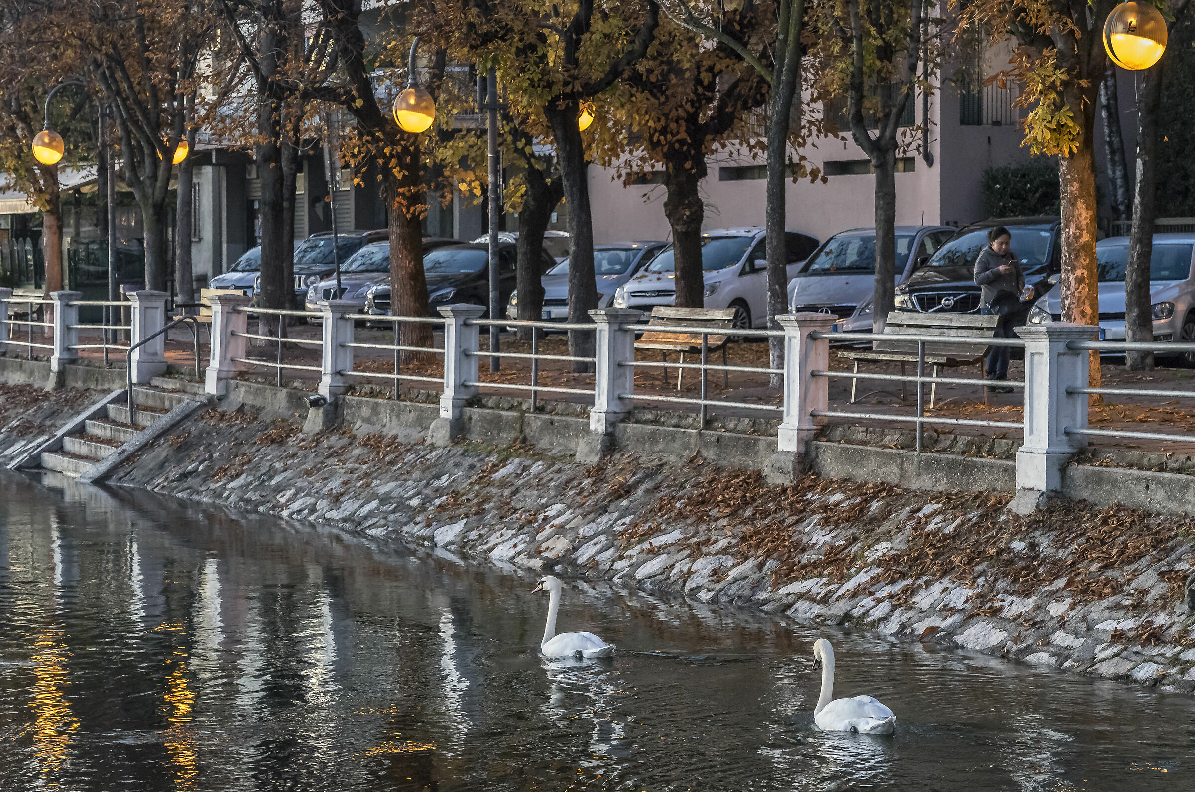 Venerdì 29 novembre 2019, 16:50:16 - 2