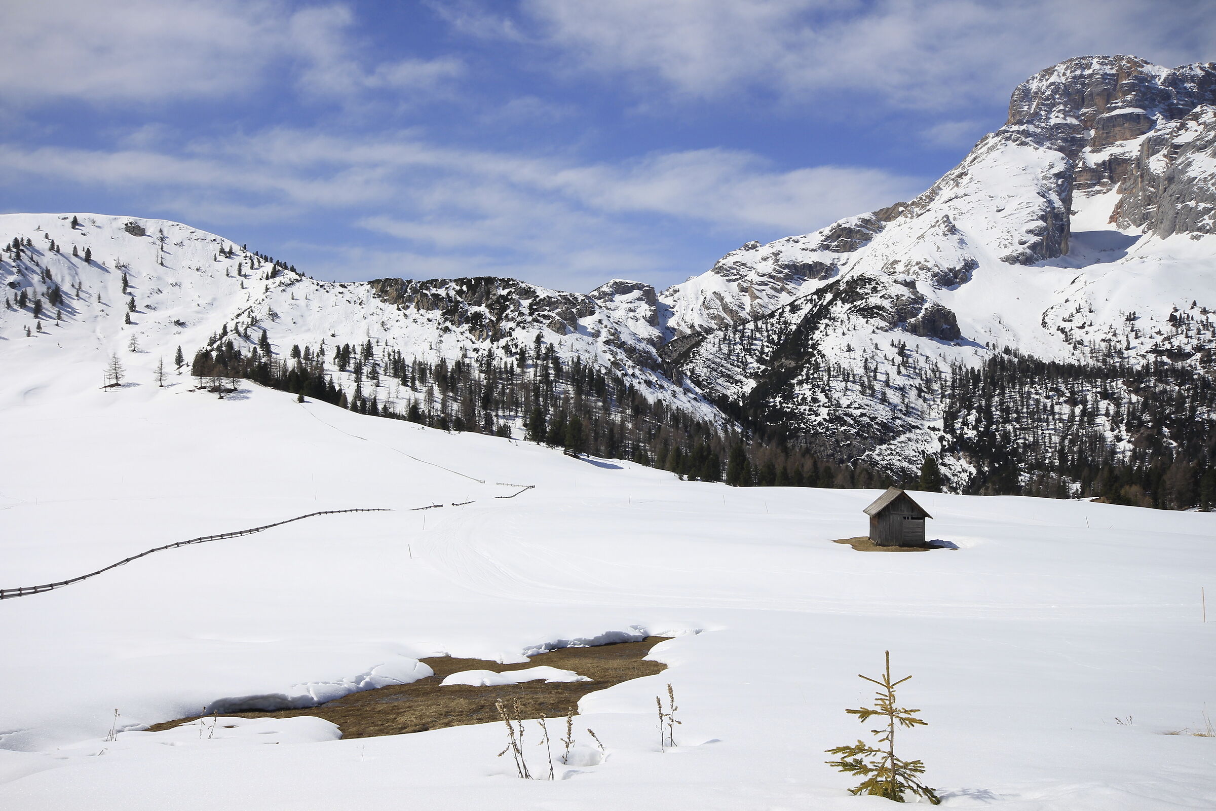 Spettacolo della natura
