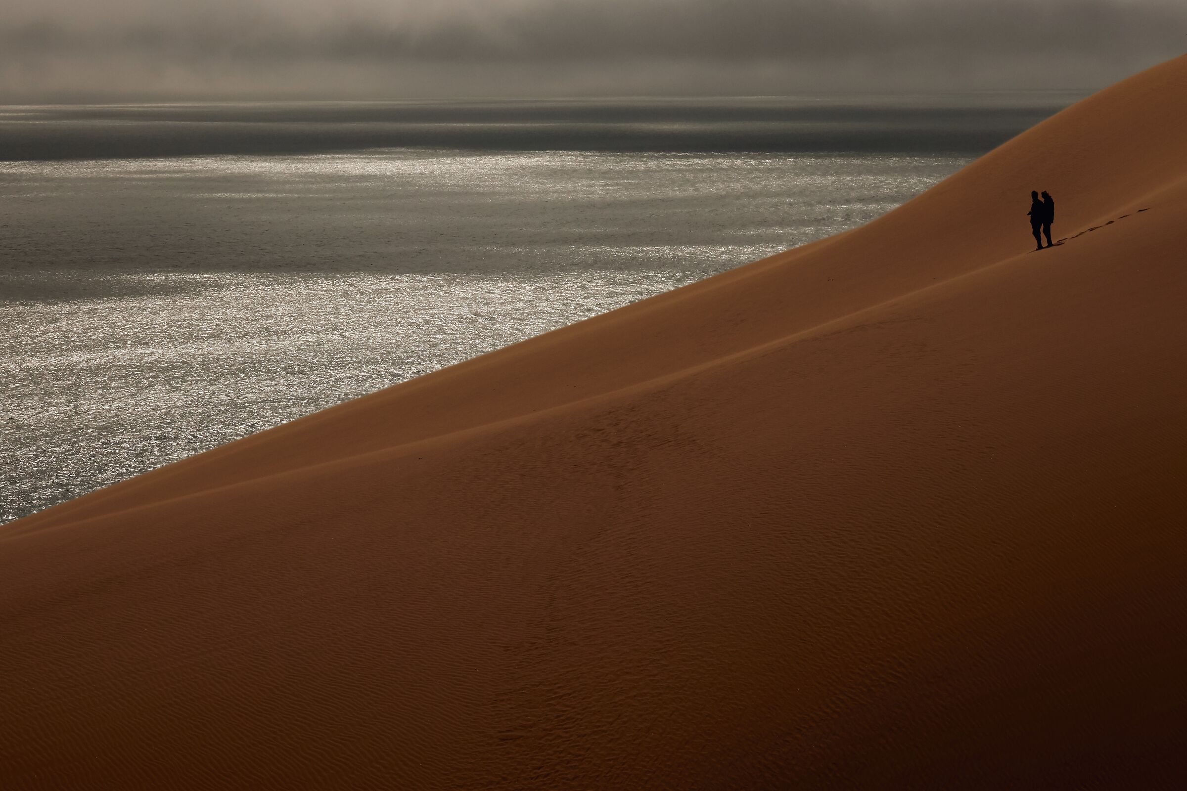 Dune