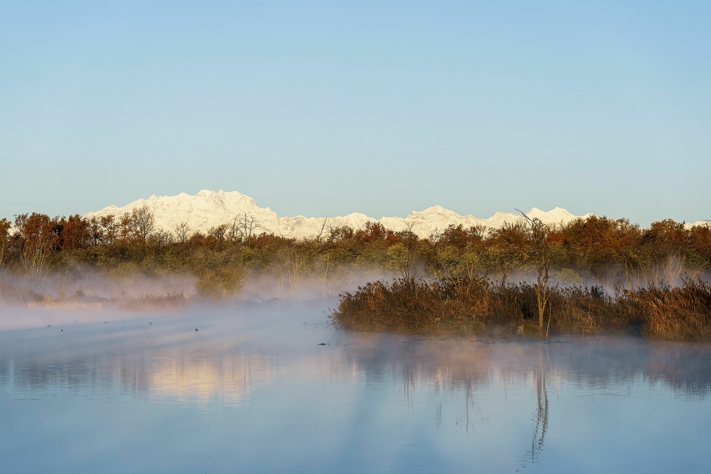 La catena del Monte Rosa poco dopo l'alba