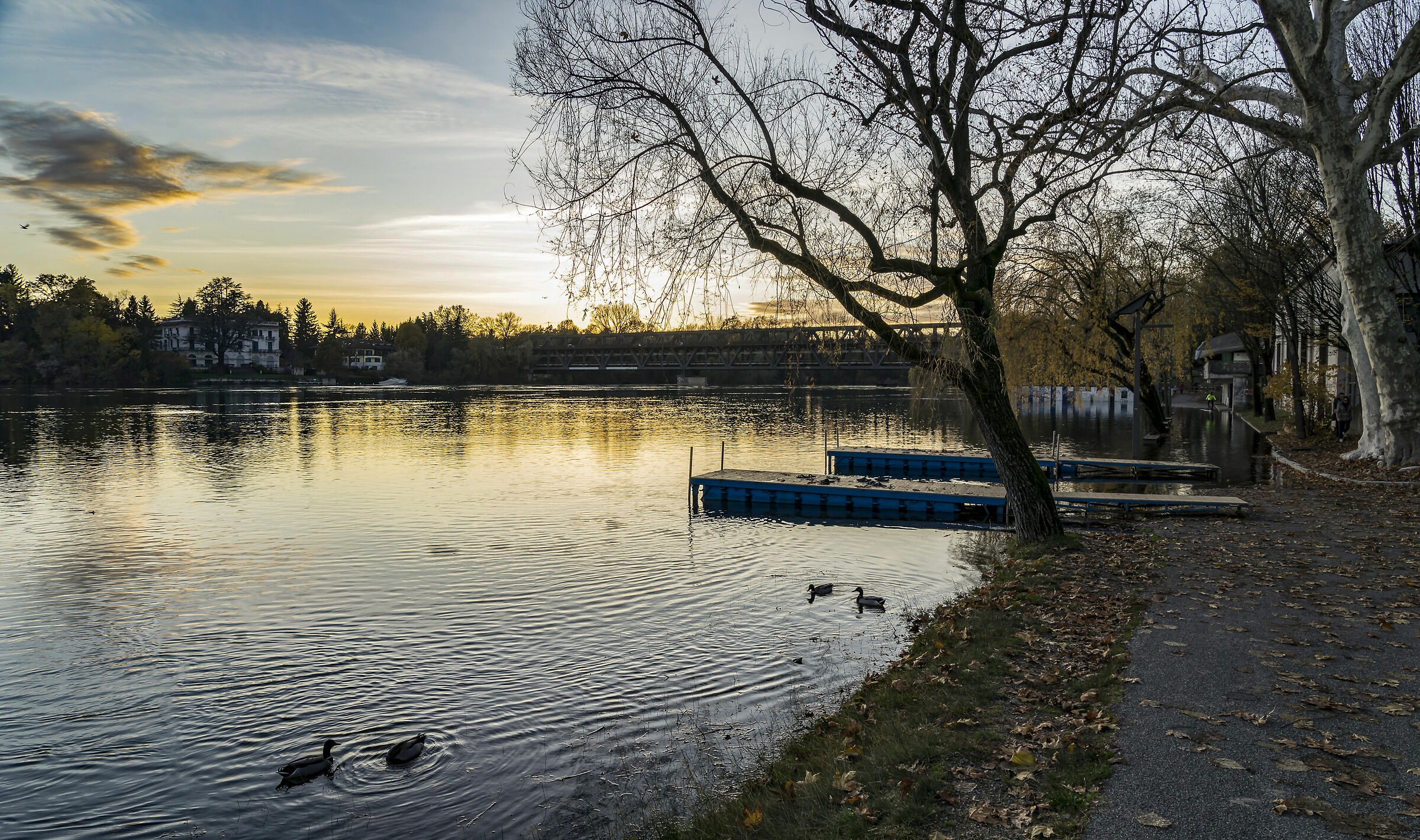Lunedì 25 novembre 2019, 16:34:44