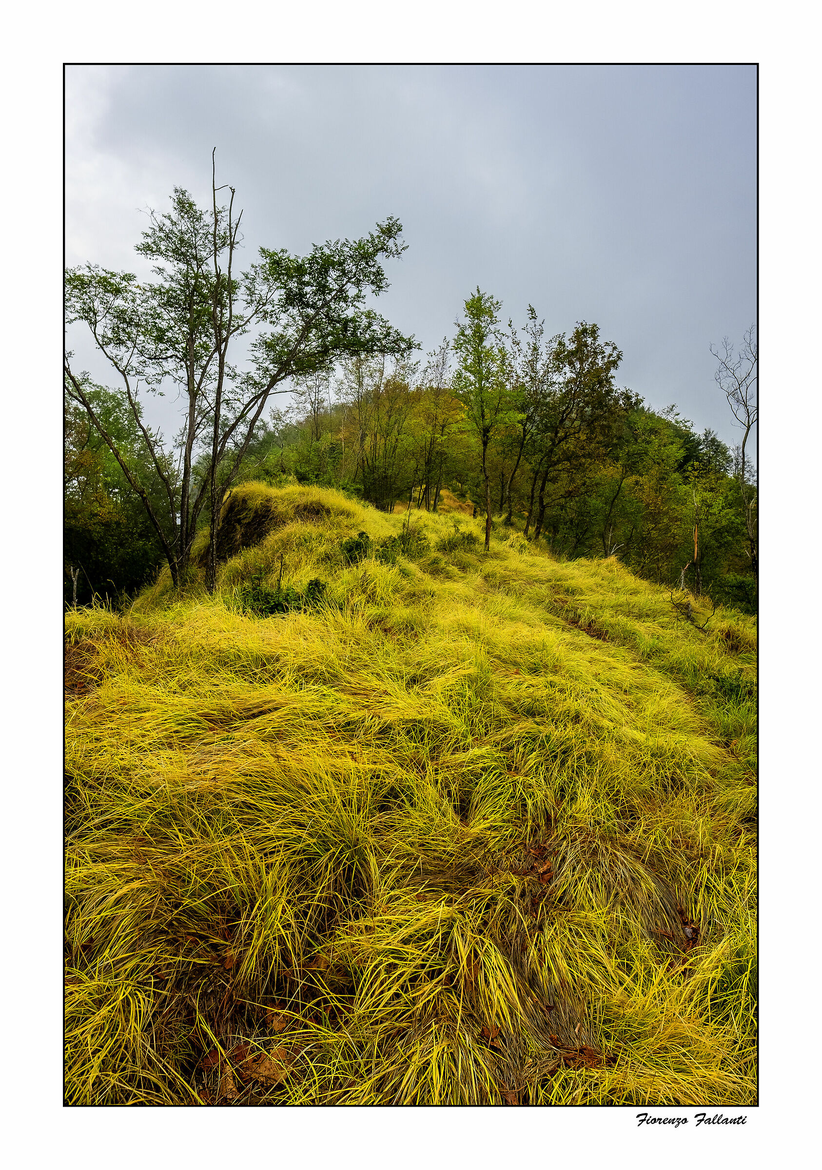 ...La chioma delle montagne...