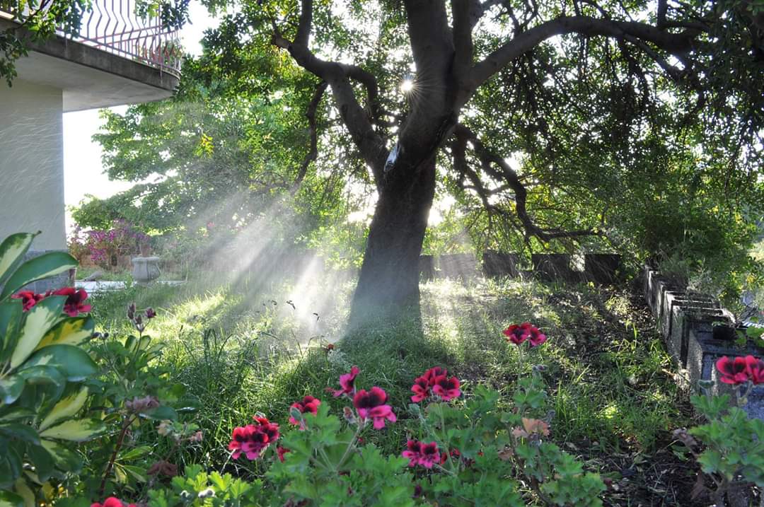 Light water and shadows