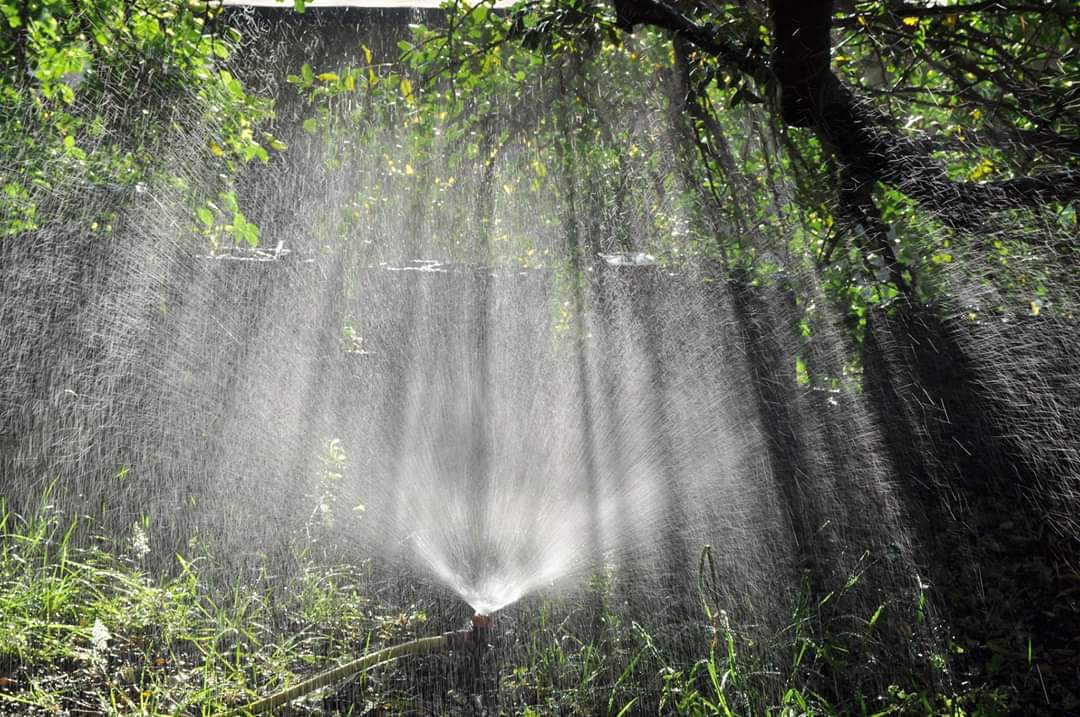 Light water and shadows