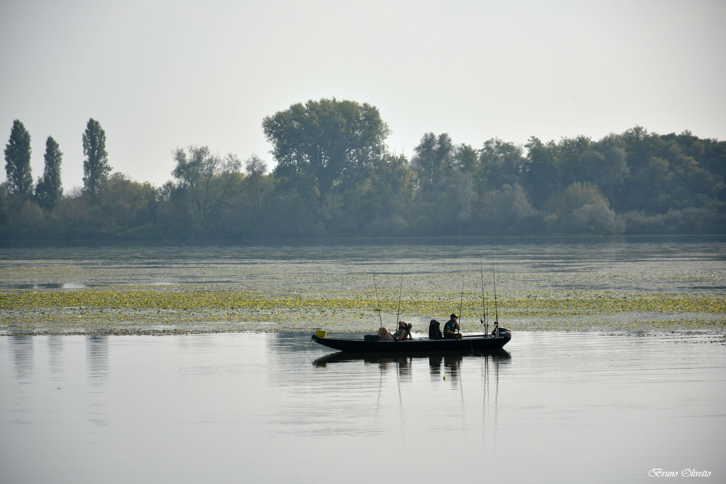 fishermen on the mincio