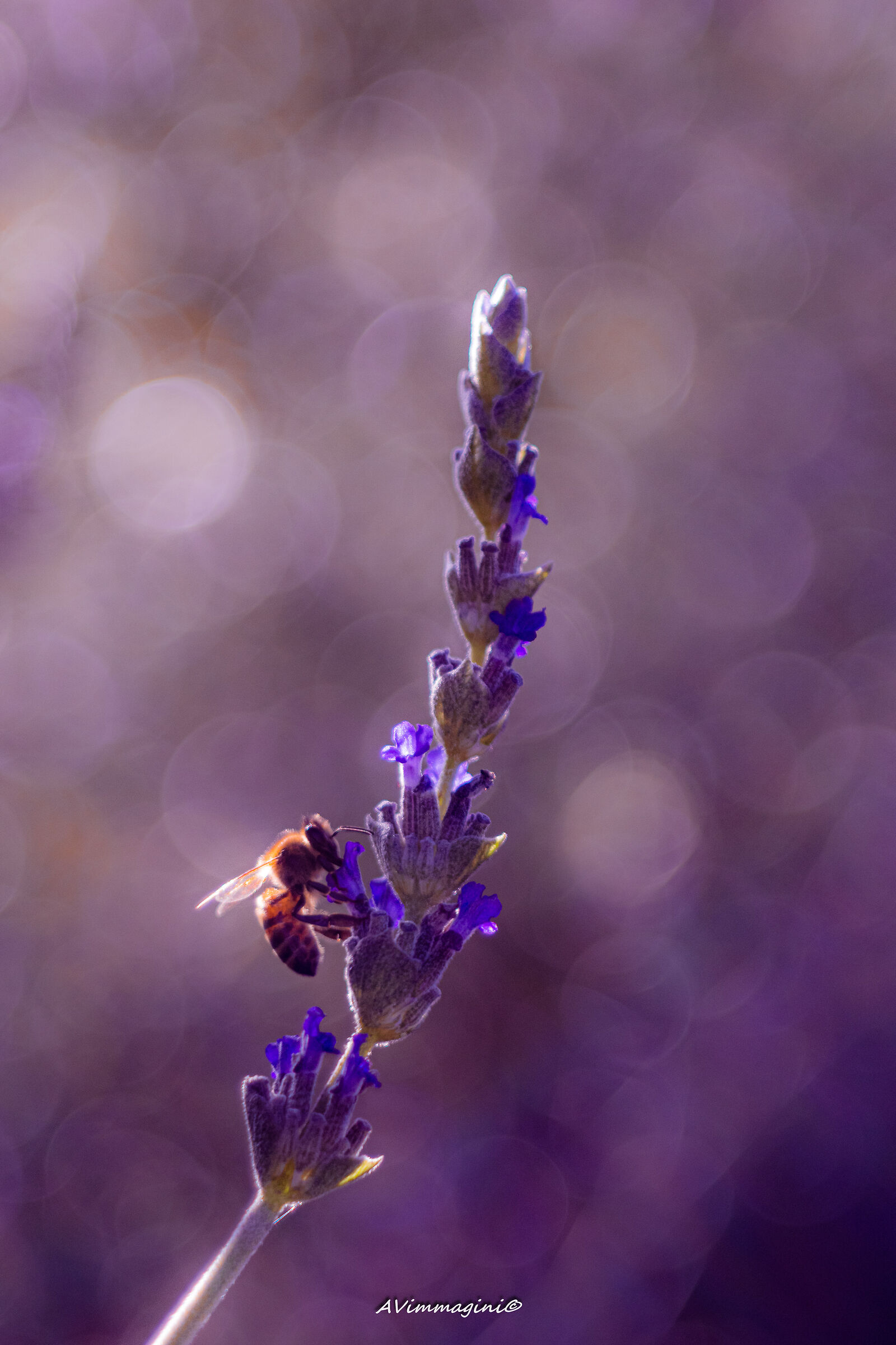 it's December but I'm still hungry, slurp!!!