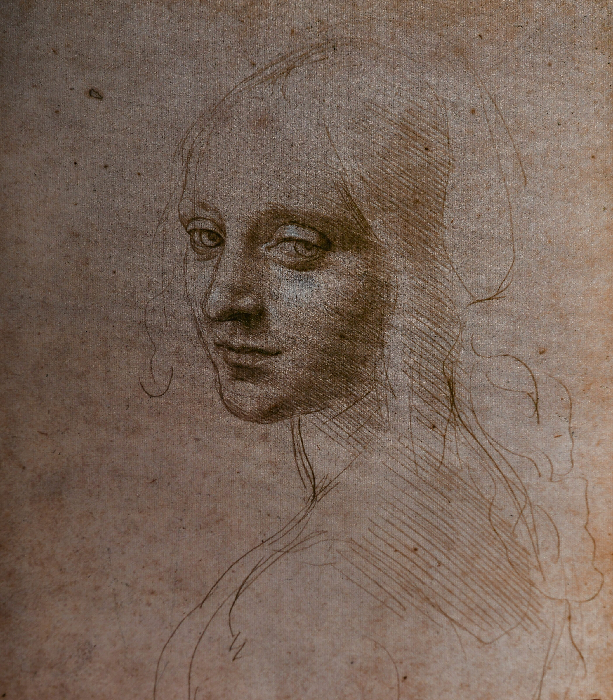 Leonardo at Villa Farnesina in Rome-"Head of Maiden"