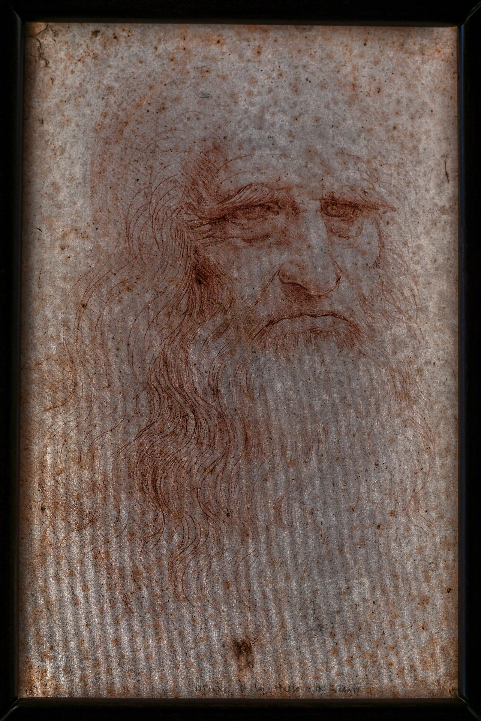 Leonardo at Villa Farnesina in Rome - "Self-Portrait"